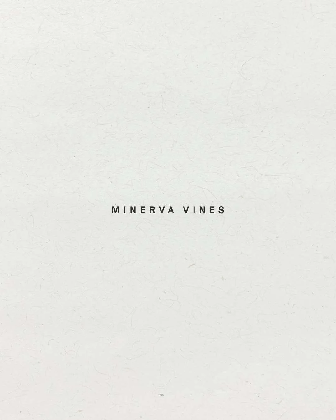 wedding-venue-branding-web-design-minerva-vines1.png