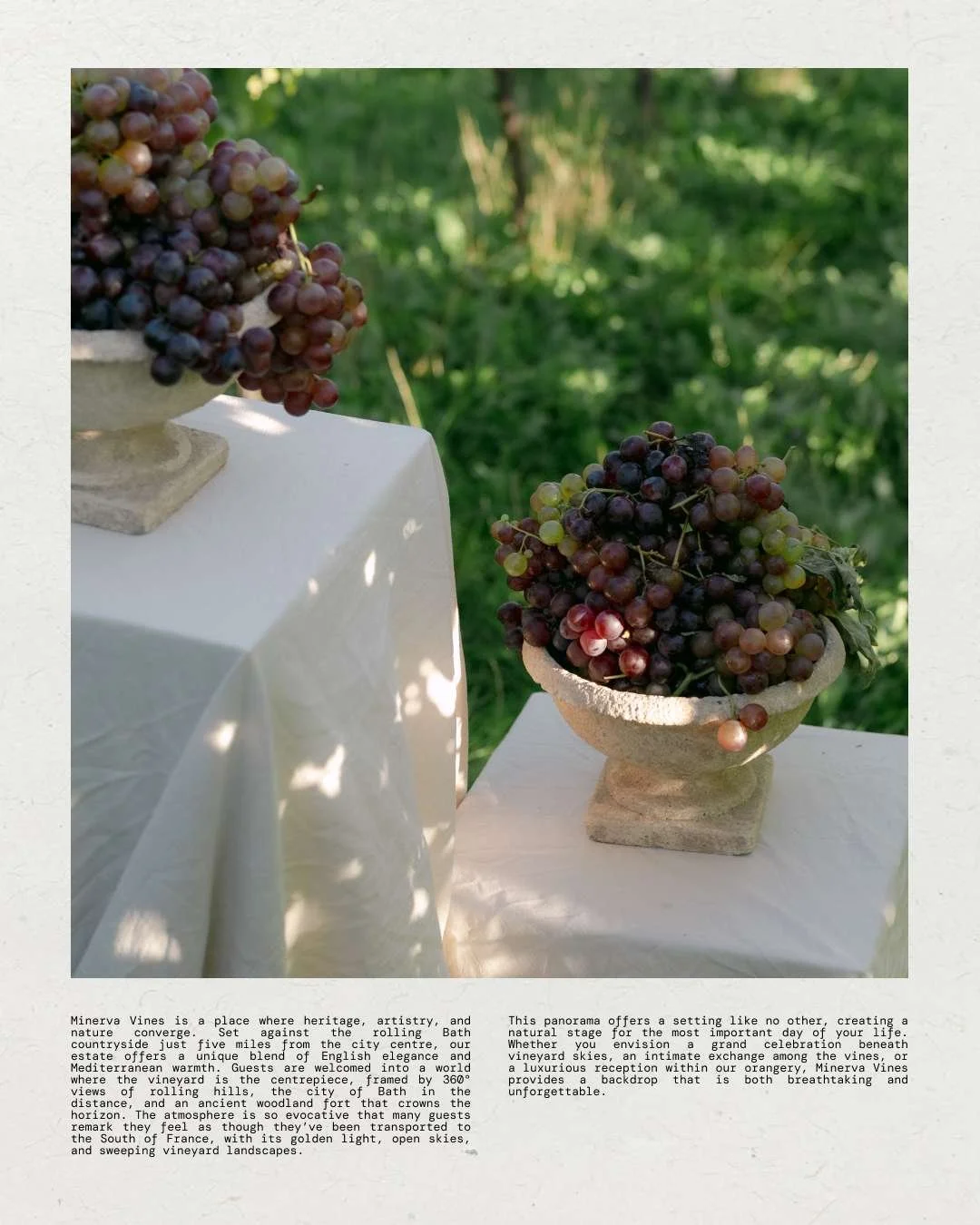 wedding-venue-branding-web-design-minerva-vines4.png