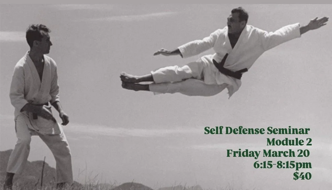 Module 2 Self Defense Seminar