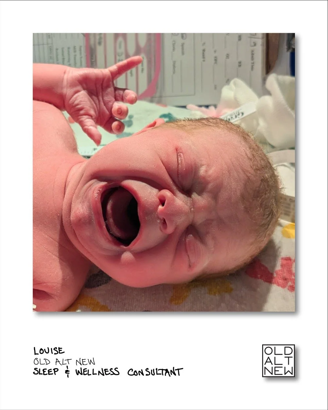 Louise
The newest member of Old Alt New. Louise brings a light hearted and unpredictable attitude to the office.