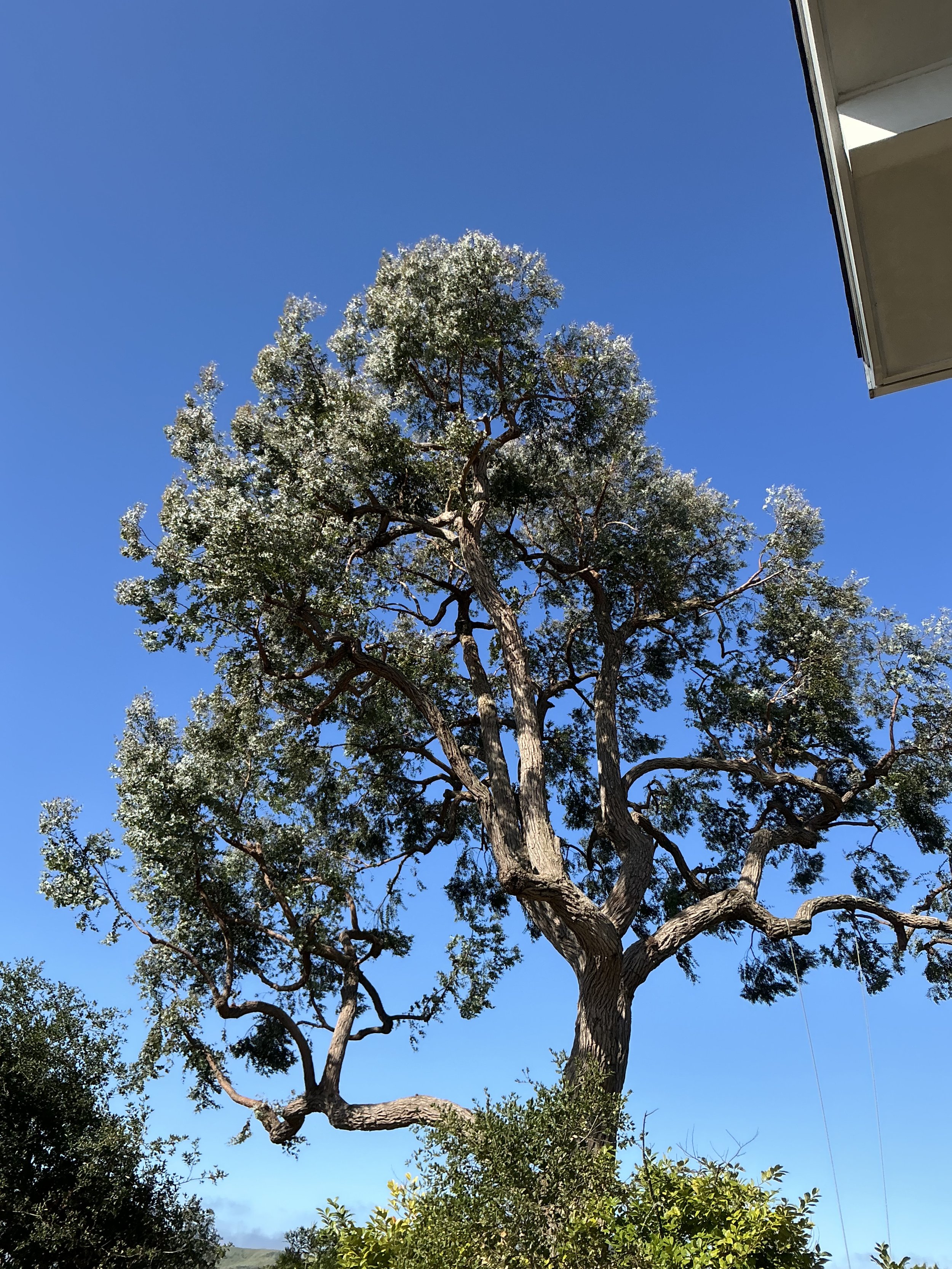 IMG_3744.jpeg