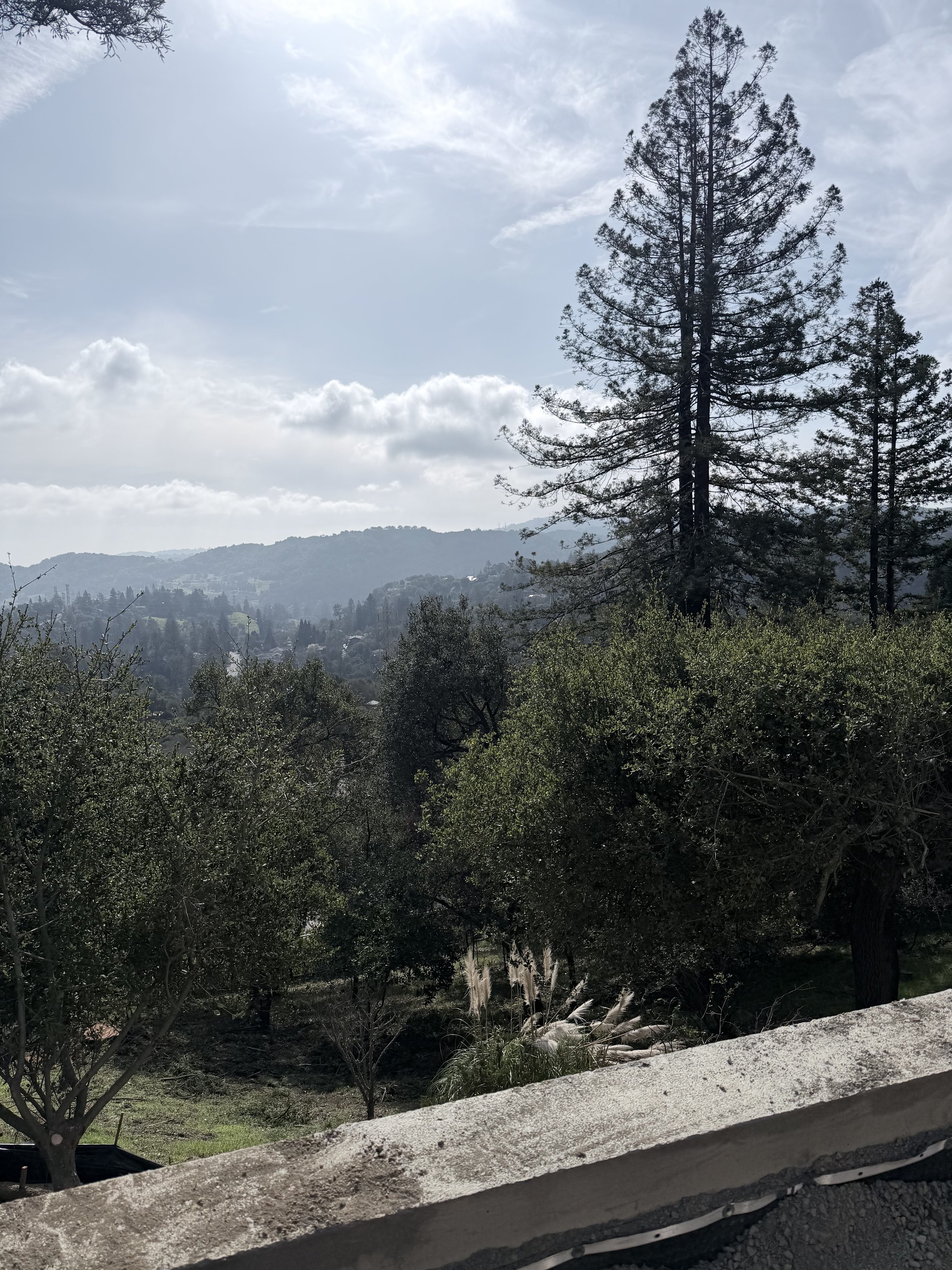 IMG_1243.jpeg