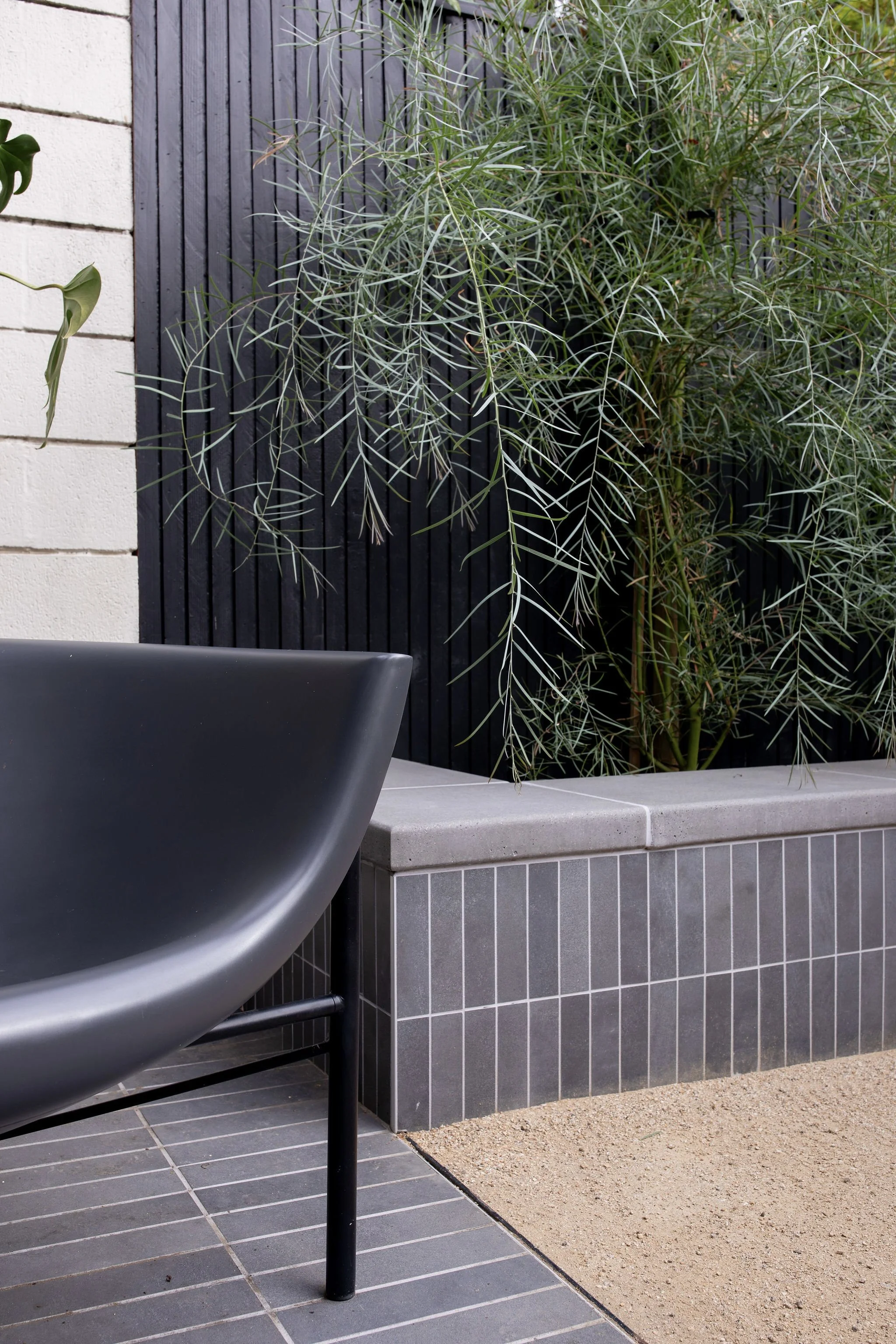 IMG_4245.jpeg