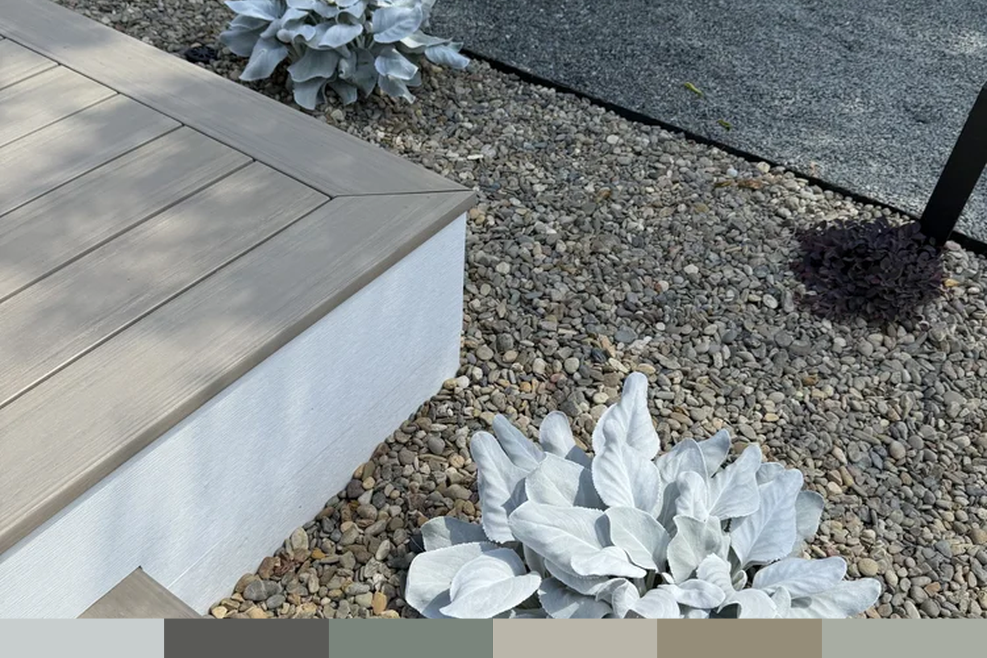 Walnut Creek CA | SENECIO