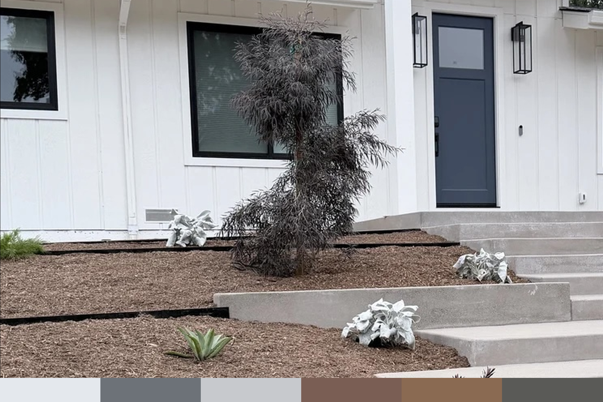 Lafayette CA | AGONIS