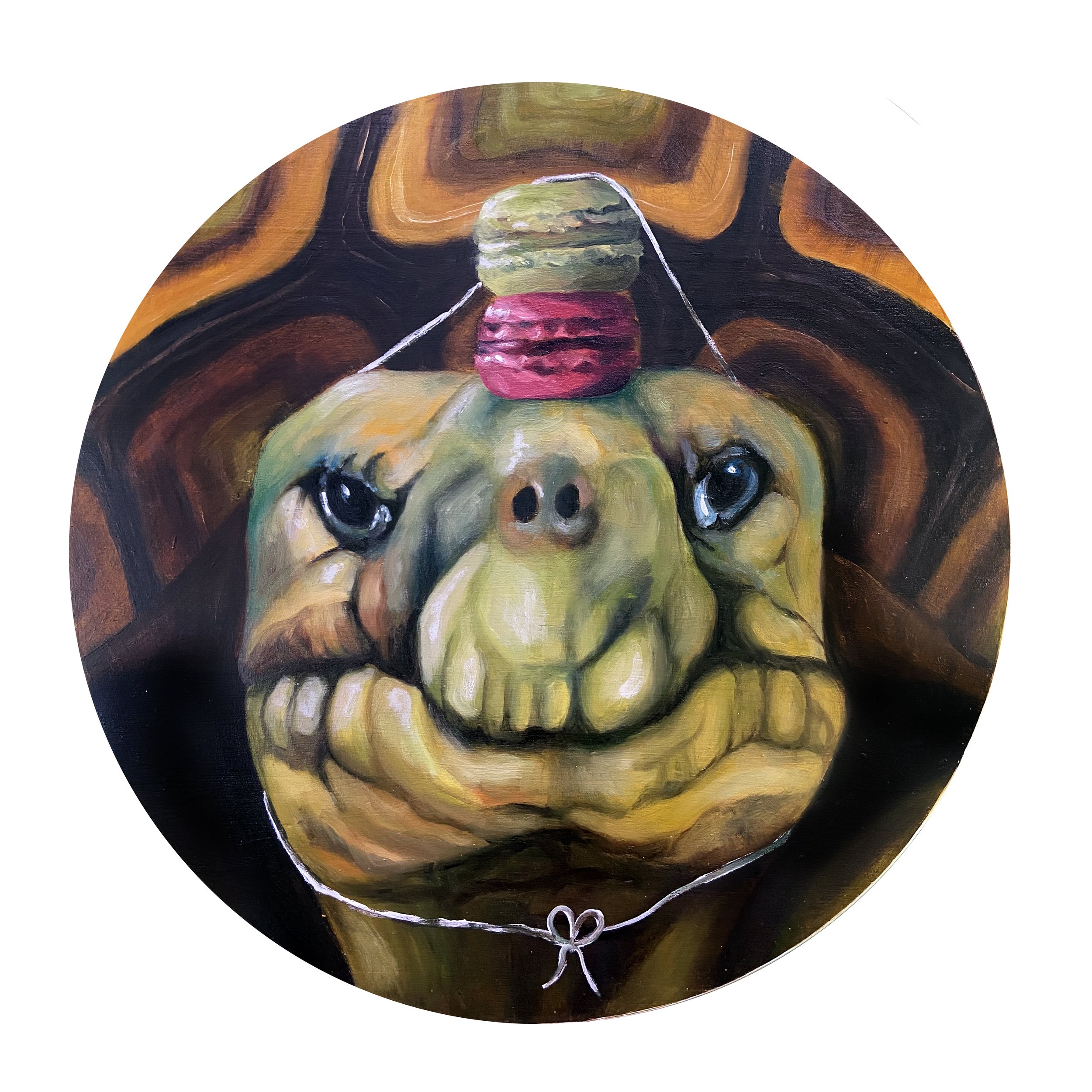 Turtle with Macaroon Crown No.1_12%22diam_$500_Oil on wood.jpg
