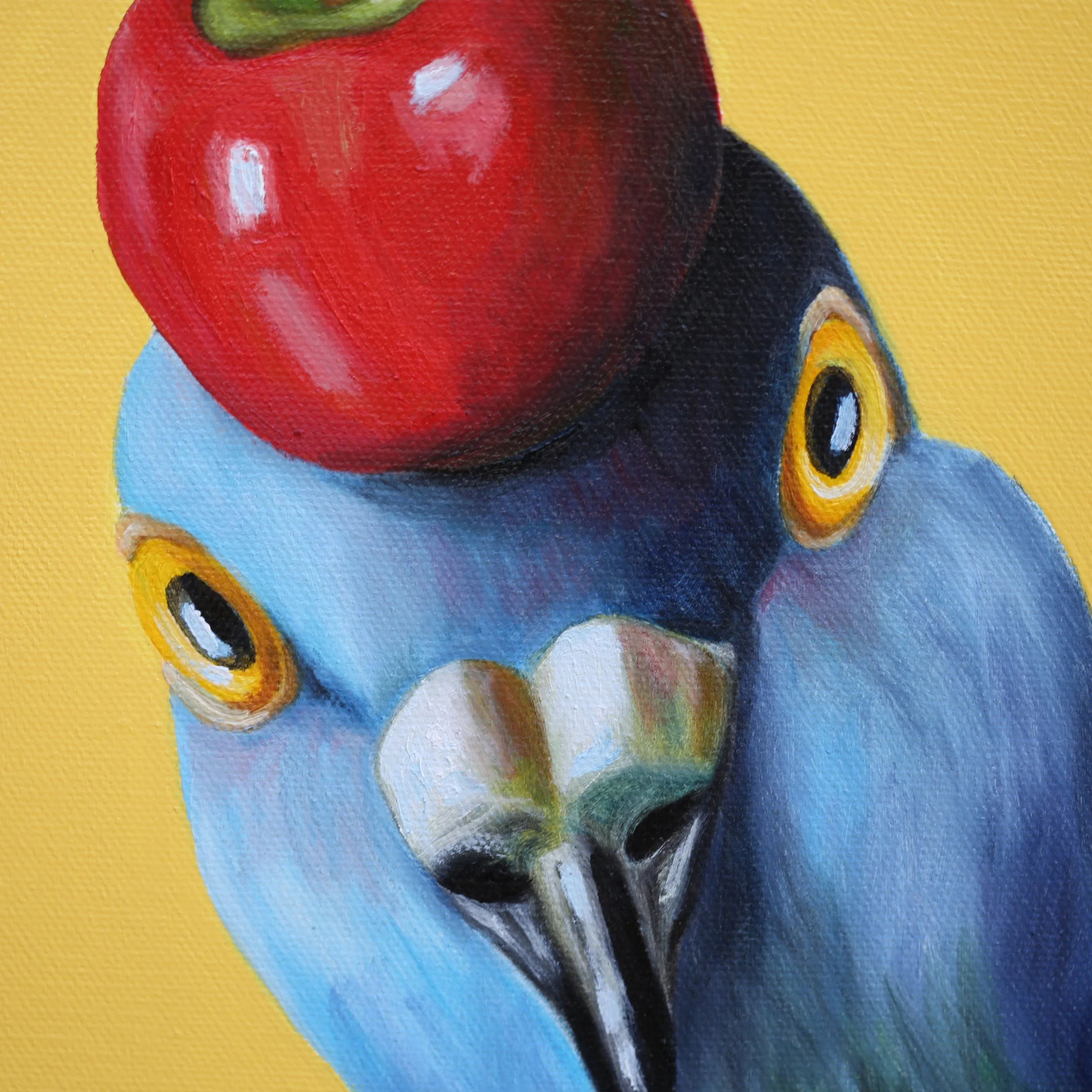 Candy Apple Pigeon - CU.jpg