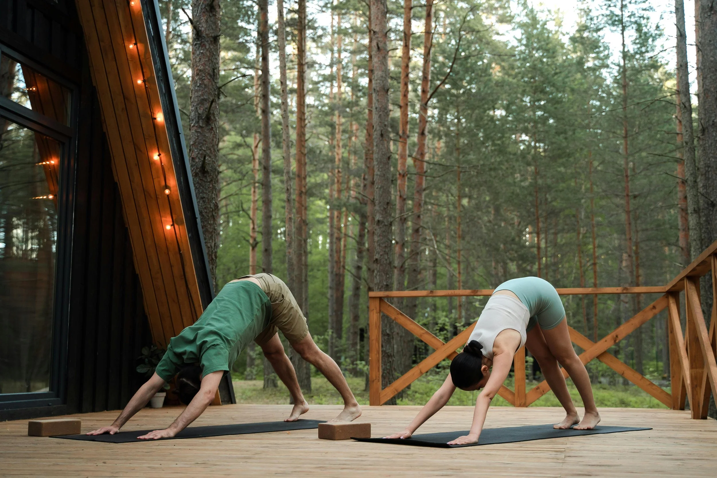 Photo by Ron Lach : https://www.pexels.com/photo/couple-doing-yoga-on-cabin-patio-9225406/