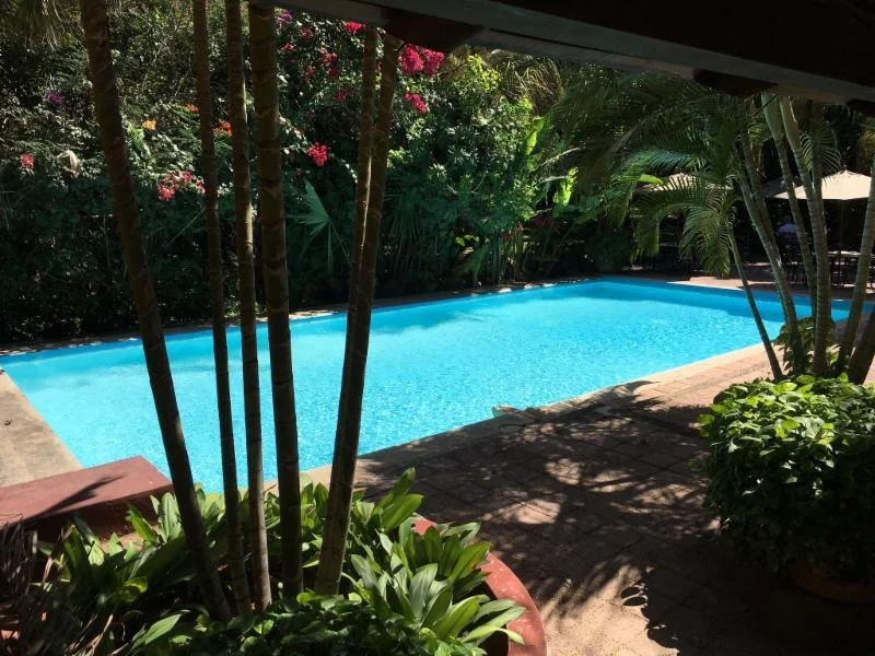 Misne family pool.jpeg