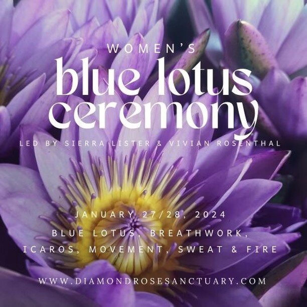 You are invited to a profound and expansive plant medicine ceremony in the Shipibo-Conibo lineage, working with Blue Lotus, breathwork, ritual and prayer, led by Sierra Lister, ceremonial plant medicine guide and breathwork facilitator and energy wea