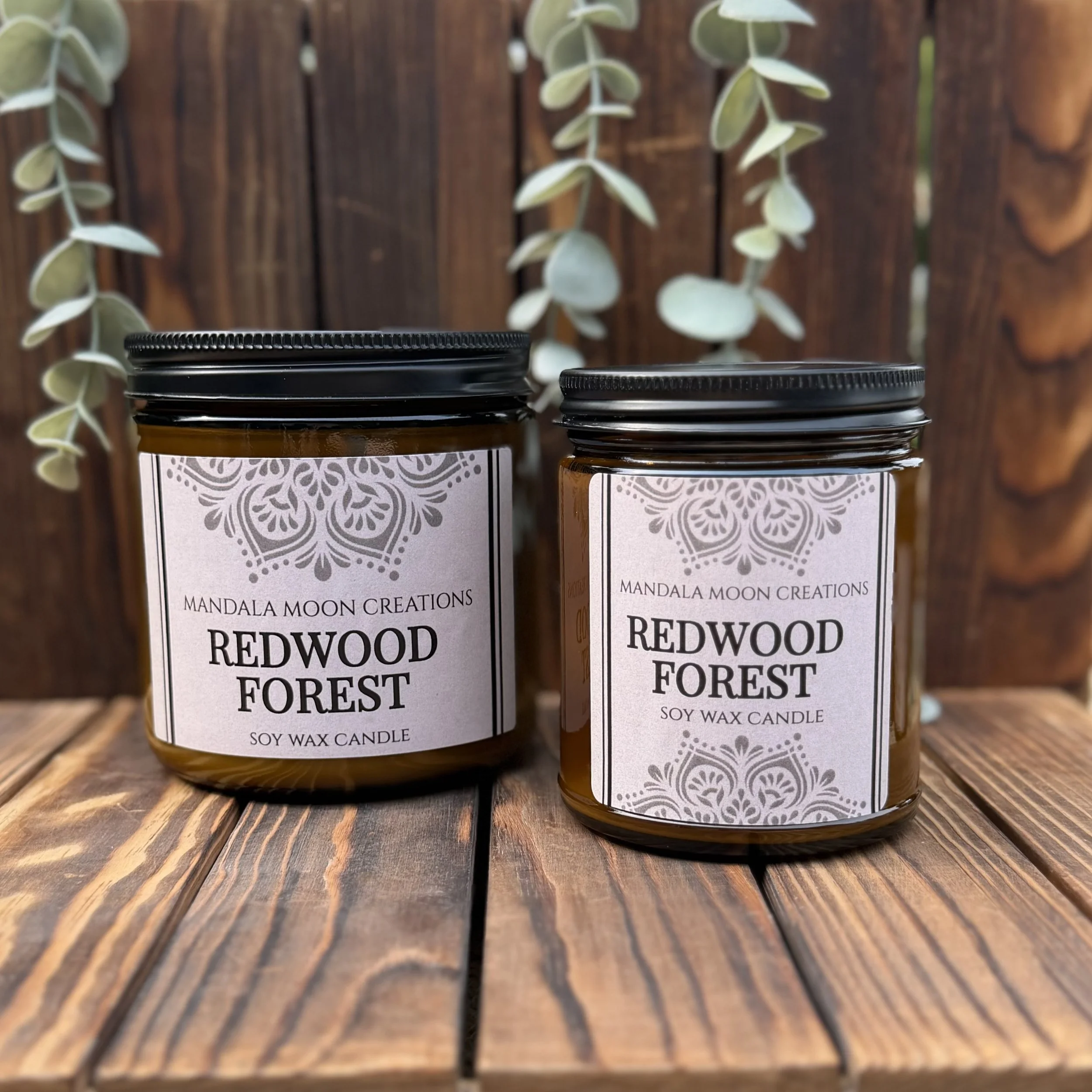 REDWOODFOREST2.jpeg