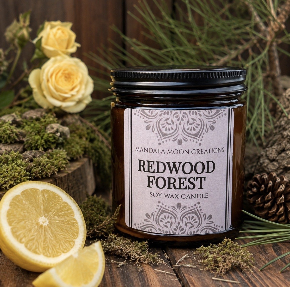 Redwood Forest