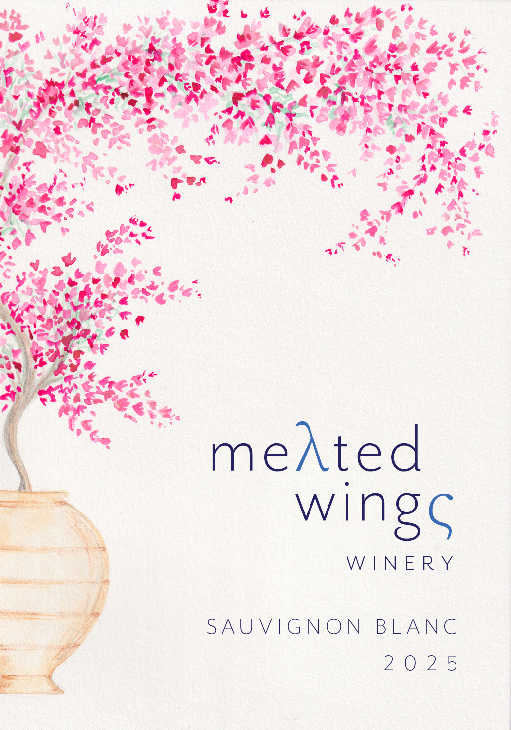 MW february 2026 SAUV BLANC FRONT.png