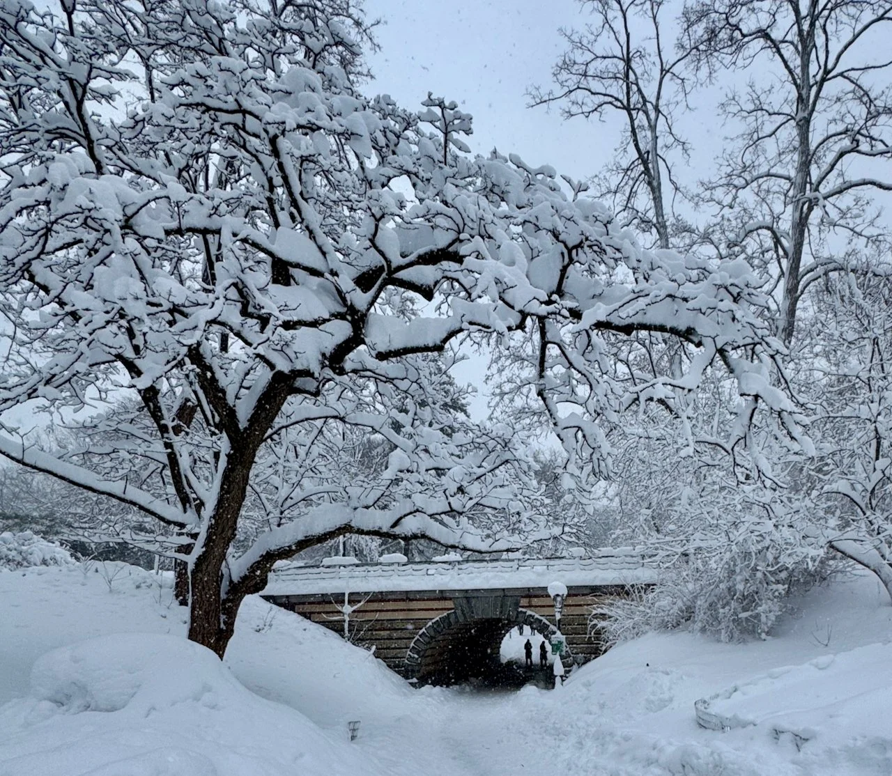 Fishtailing to/through the sublime