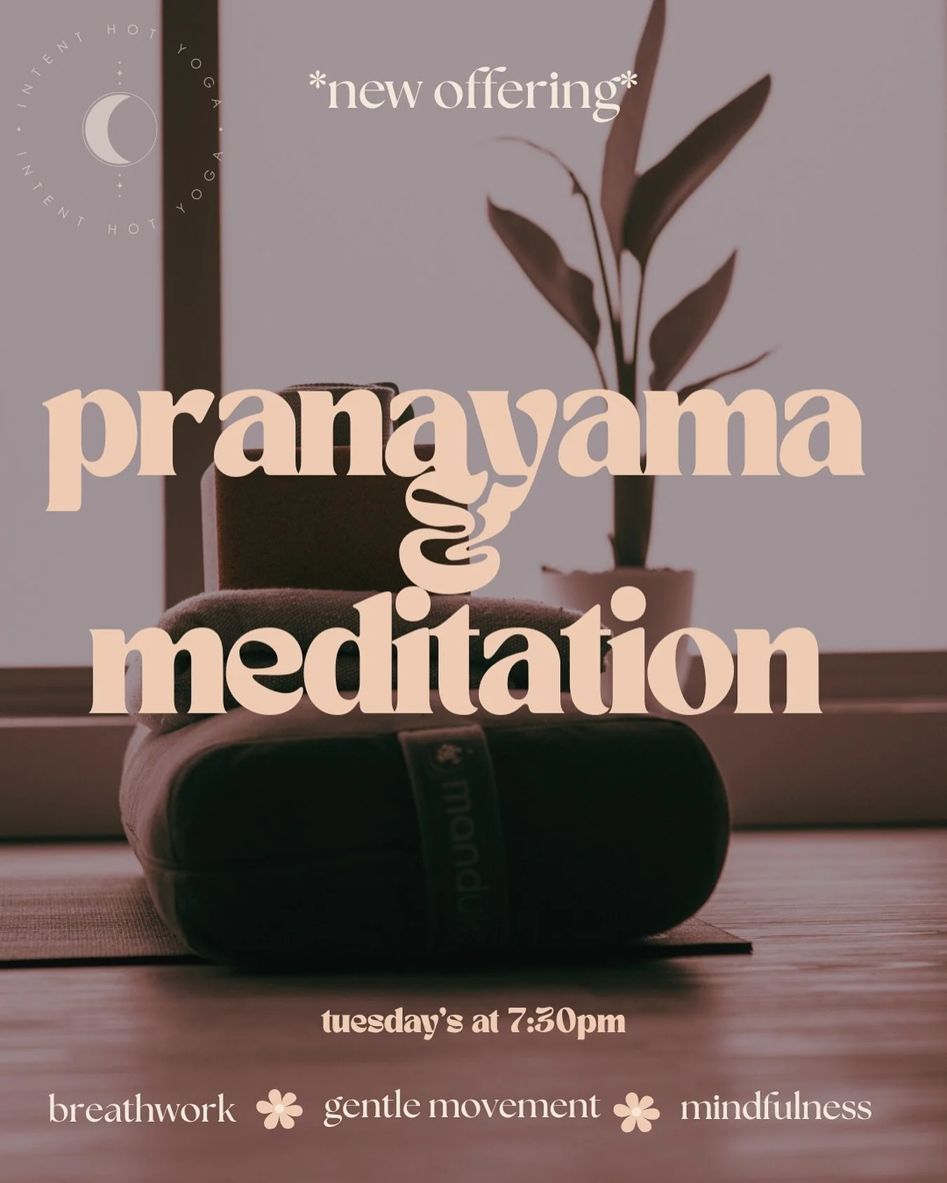 Pranayama & Meditation is our newest offering, every tuesday at 7:30pm beginning this week ✨
Life is busy & this offering is an invitation to pause, breathe with intention & reconnect mind, body & heart. Lead by @olirajs this 45min c