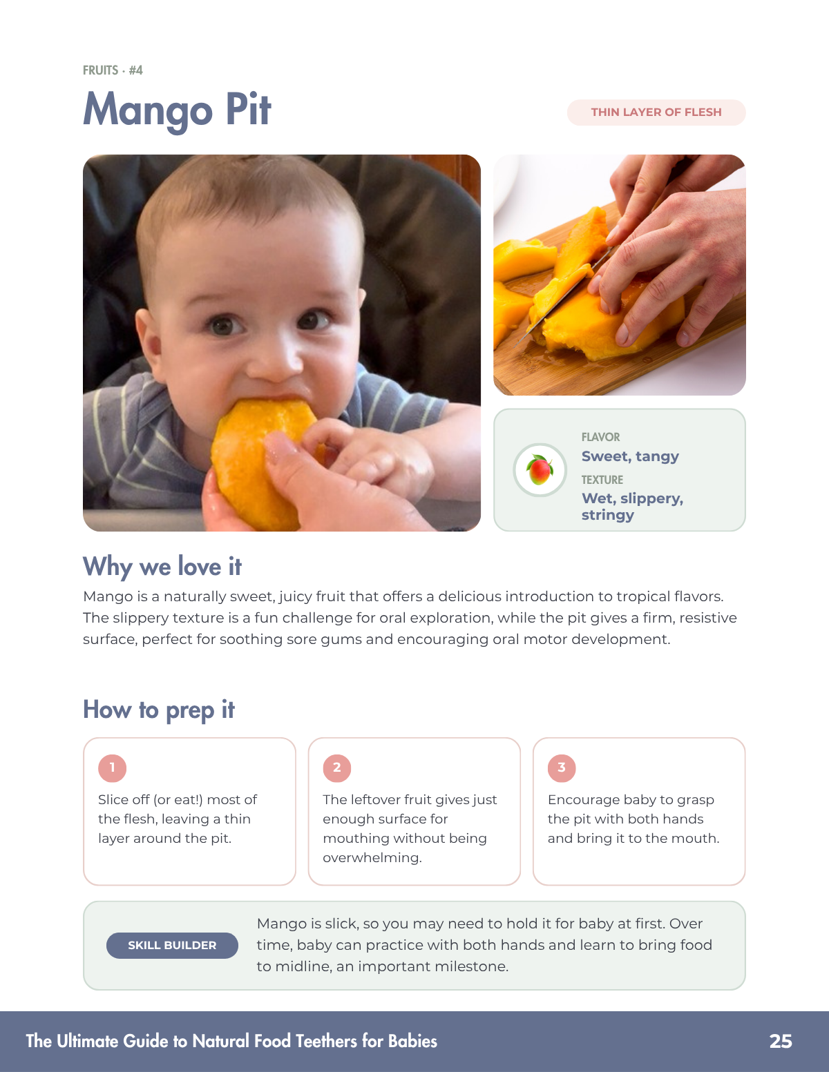 natural-food-teethers-guide-07-mango-pit.png