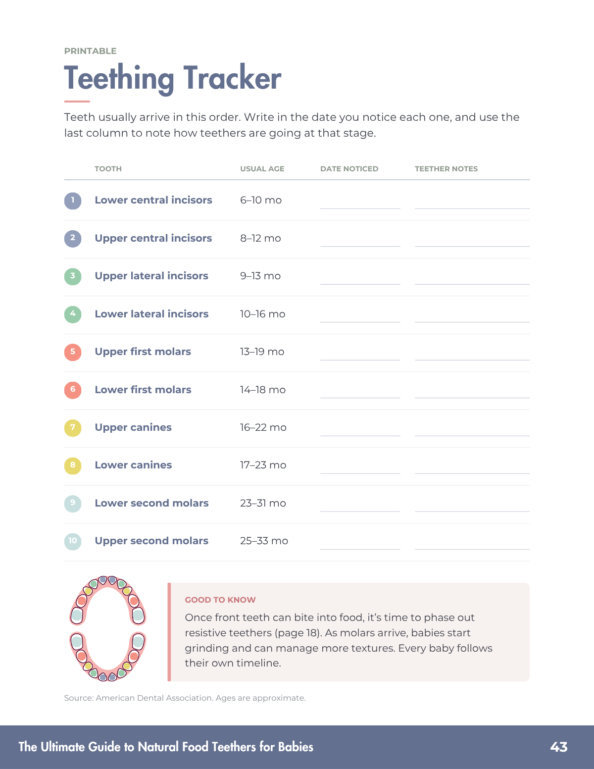 natural-food-teethers-guide-09-teething-tracker.png