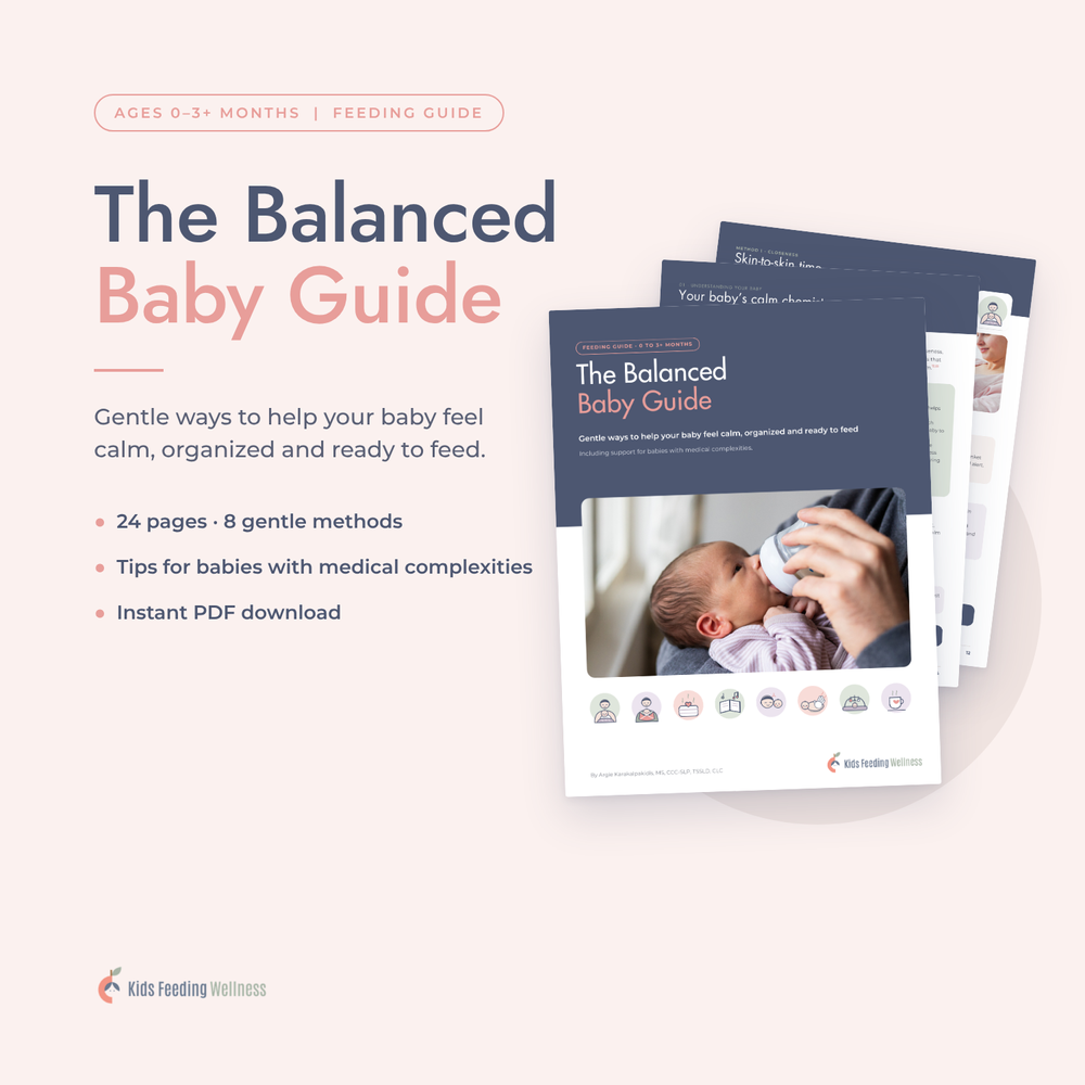 The Balanced Baby Guide cover