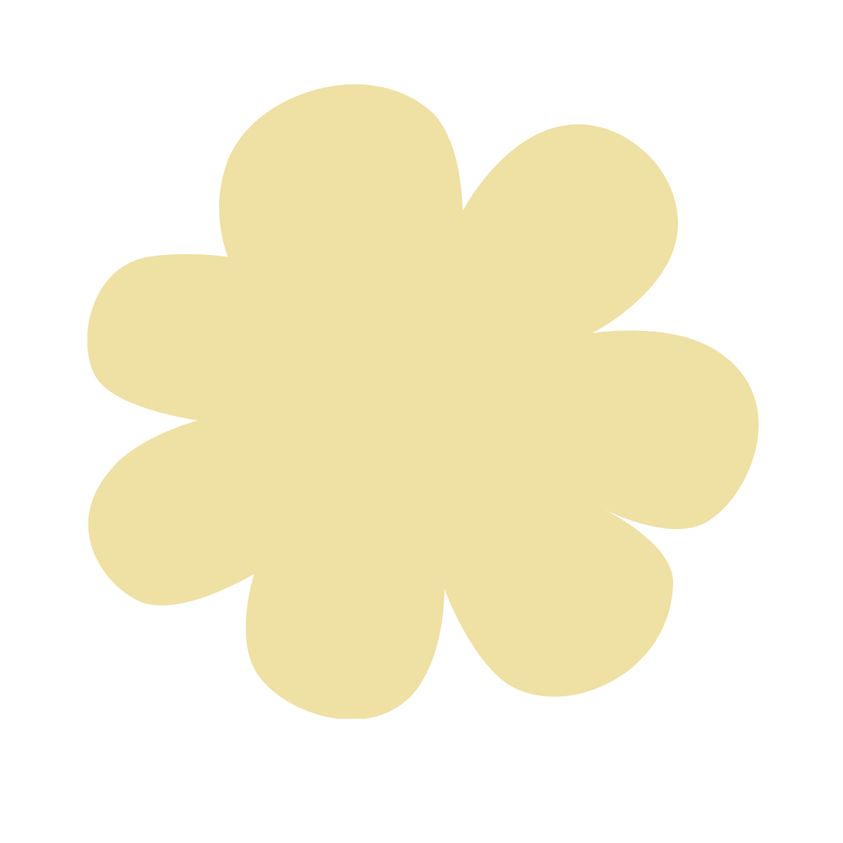 A large, cream-colored flower with multiple rounded petals on a black background.