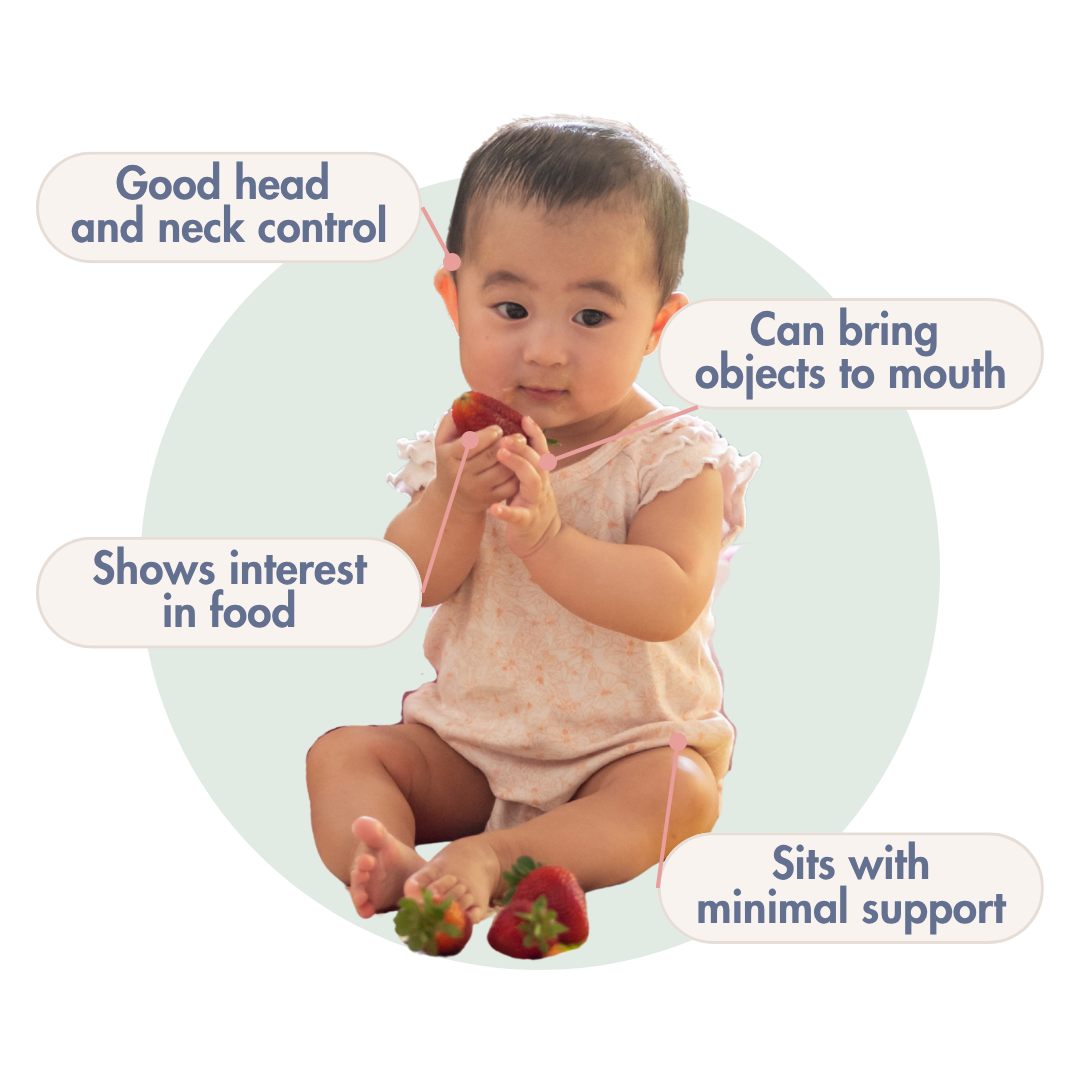Illustration of a baby sitting and holding a strawberry, labeled with four signs of readiness for solids: good head and neck control, sits with minimal support, can bring objects to mouth, and shows interest in food