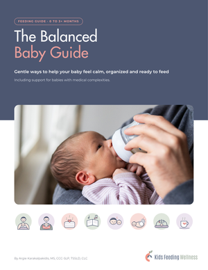 The Balanced Baby Guide cover