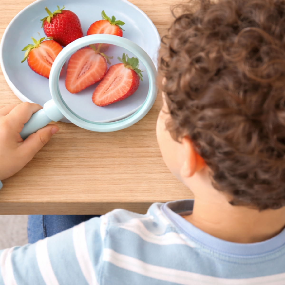A child with curly hair using a magnifying glass to examine sliced strawberries on a light blue plate, with a few strawberries still whole, on a wooden surface.
