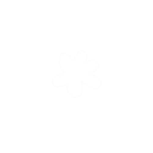 A white flower with five petals on a black background.