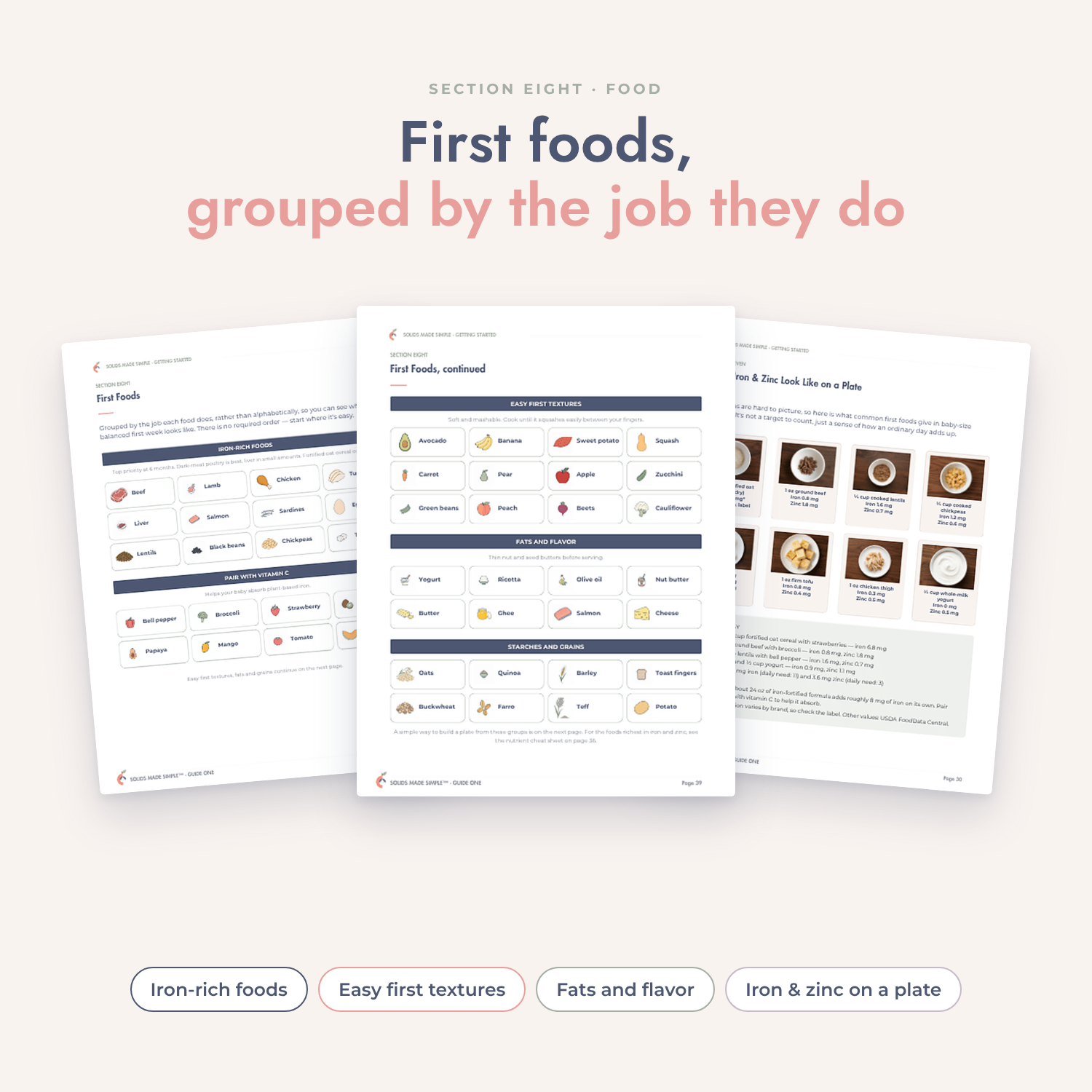 First foods pages grouped by iron-rich foods, easy first textures, fats and flavor, plus iron and zinc portions on a plate
