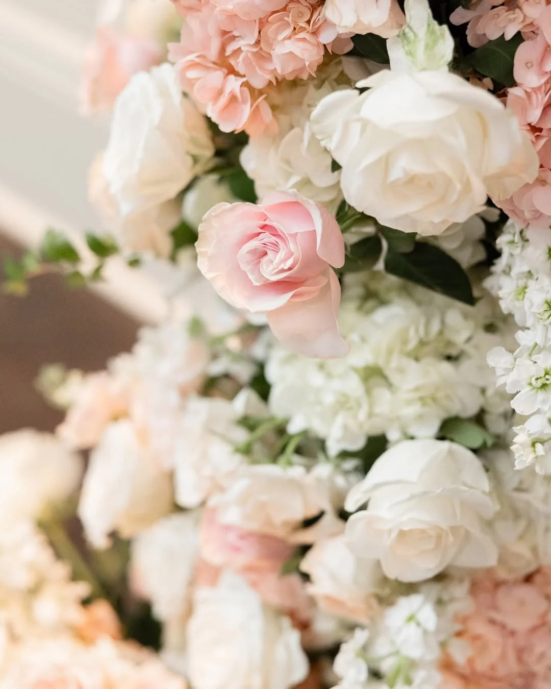 Close-up of a bouquet of pink and white roses with green leaves, softly lit and slightly blurred background.