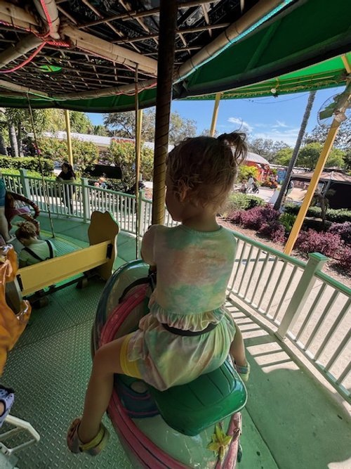 Tampa_Zoo_V on carousel.jpg
