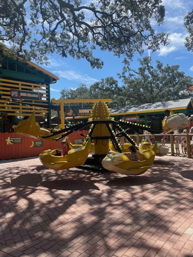 Tampa_Zoo_Spin_Ride.jpg