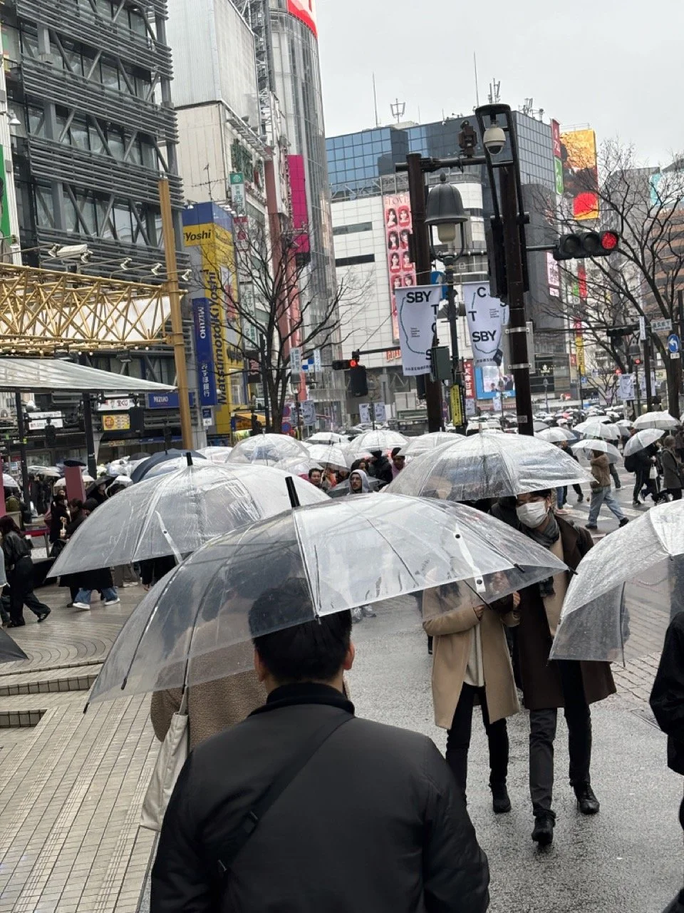Tokyo Shibuya Umbrella Scenee.jpeg