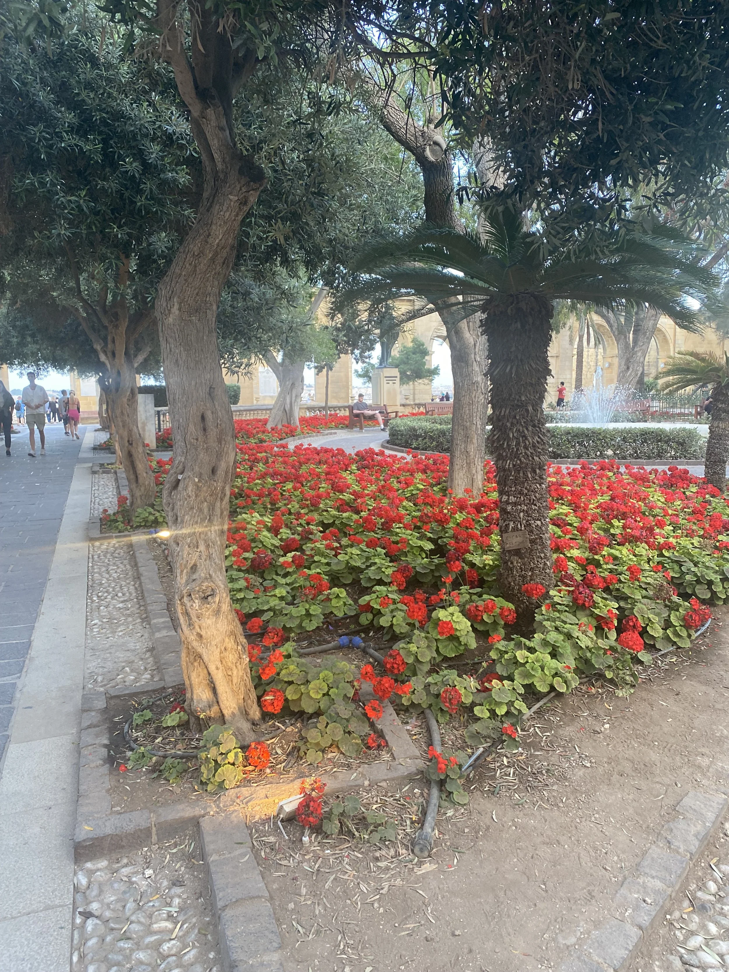 Malta Valleta Park View.jpeg