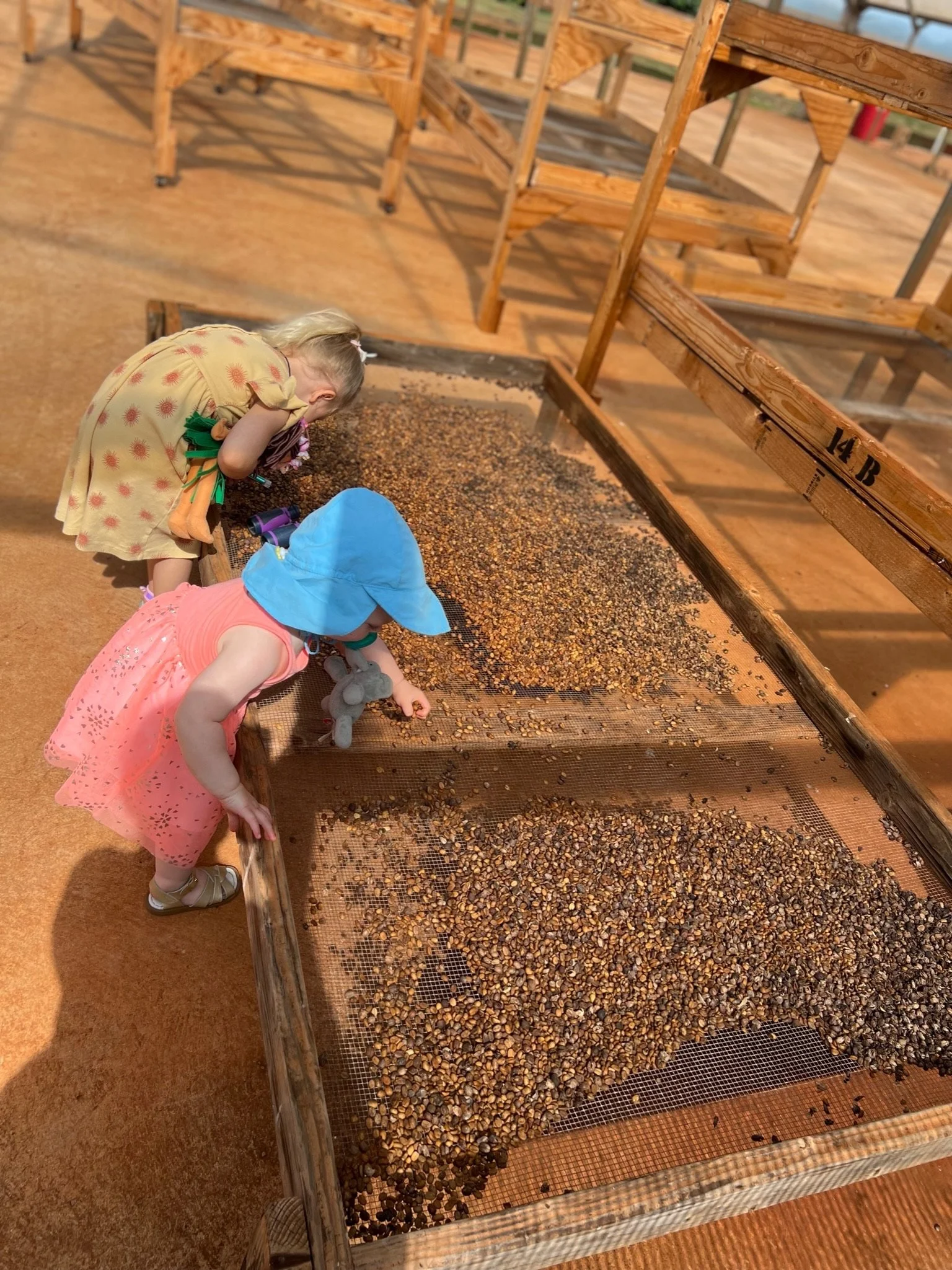 Kuaui Coffee Plantation Tour.jpeg