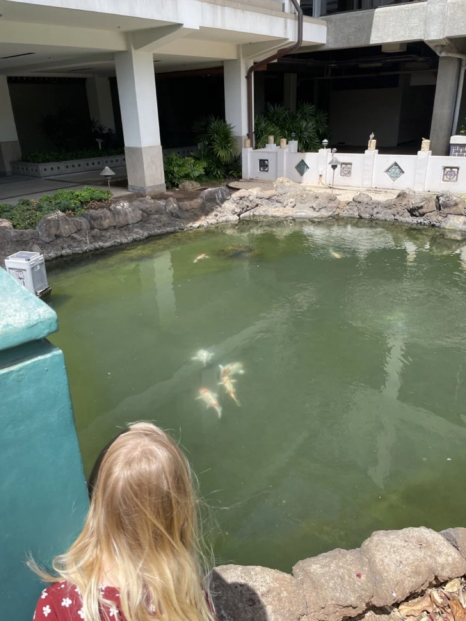 HNL Airport-Koi Pond.jpeg