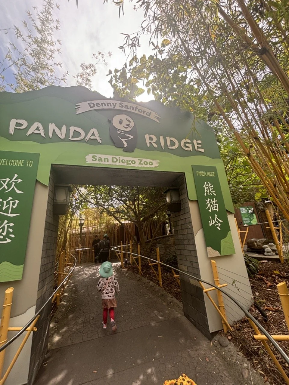 San Diego Zoo Panda Ridge.jpeg