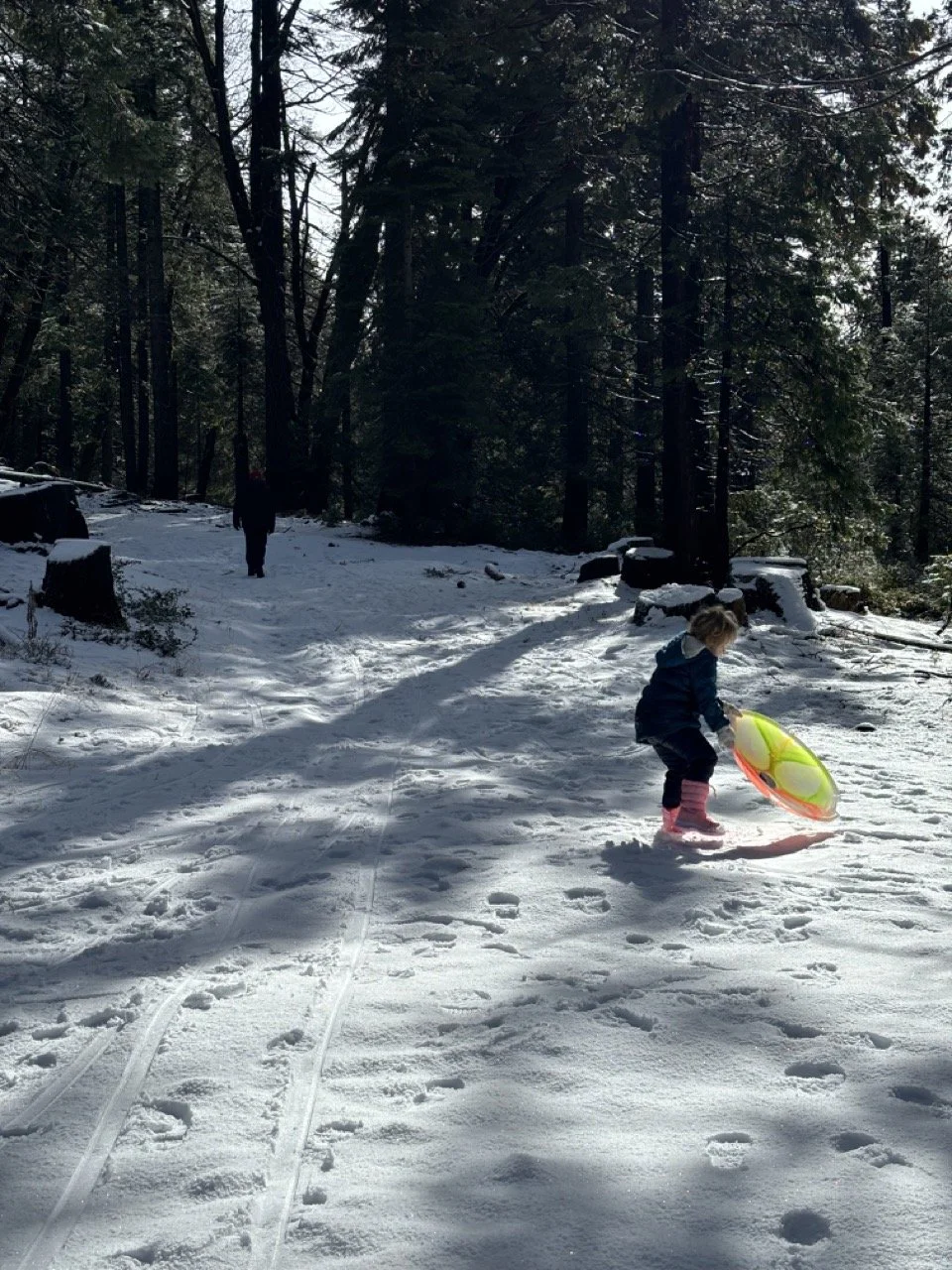 Yosemite Snowy Day sledding.jpeg