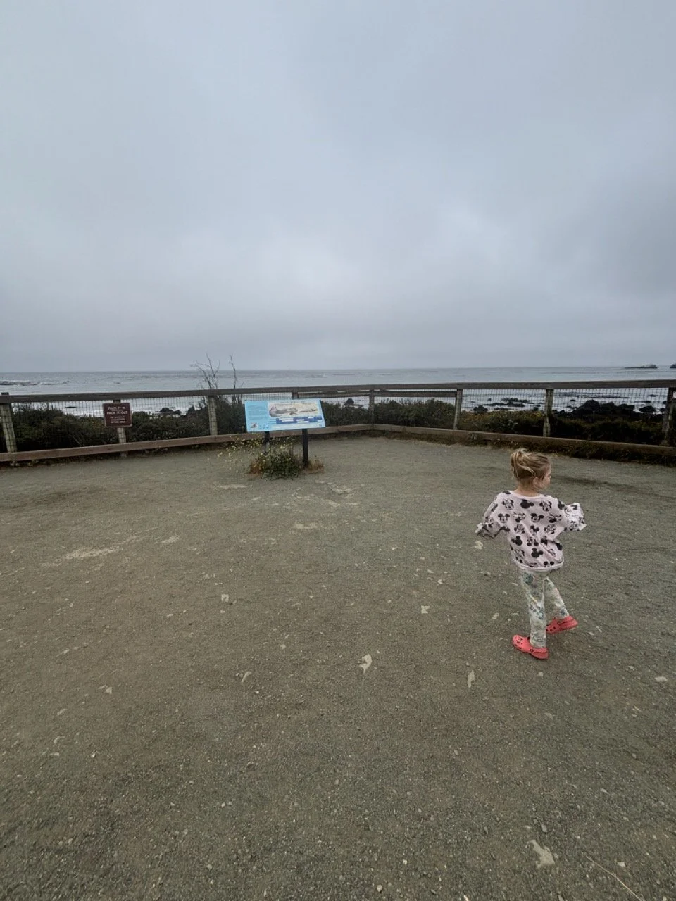 Central Coast Elephant Seal Lookout Point Informational Signage.jpeg