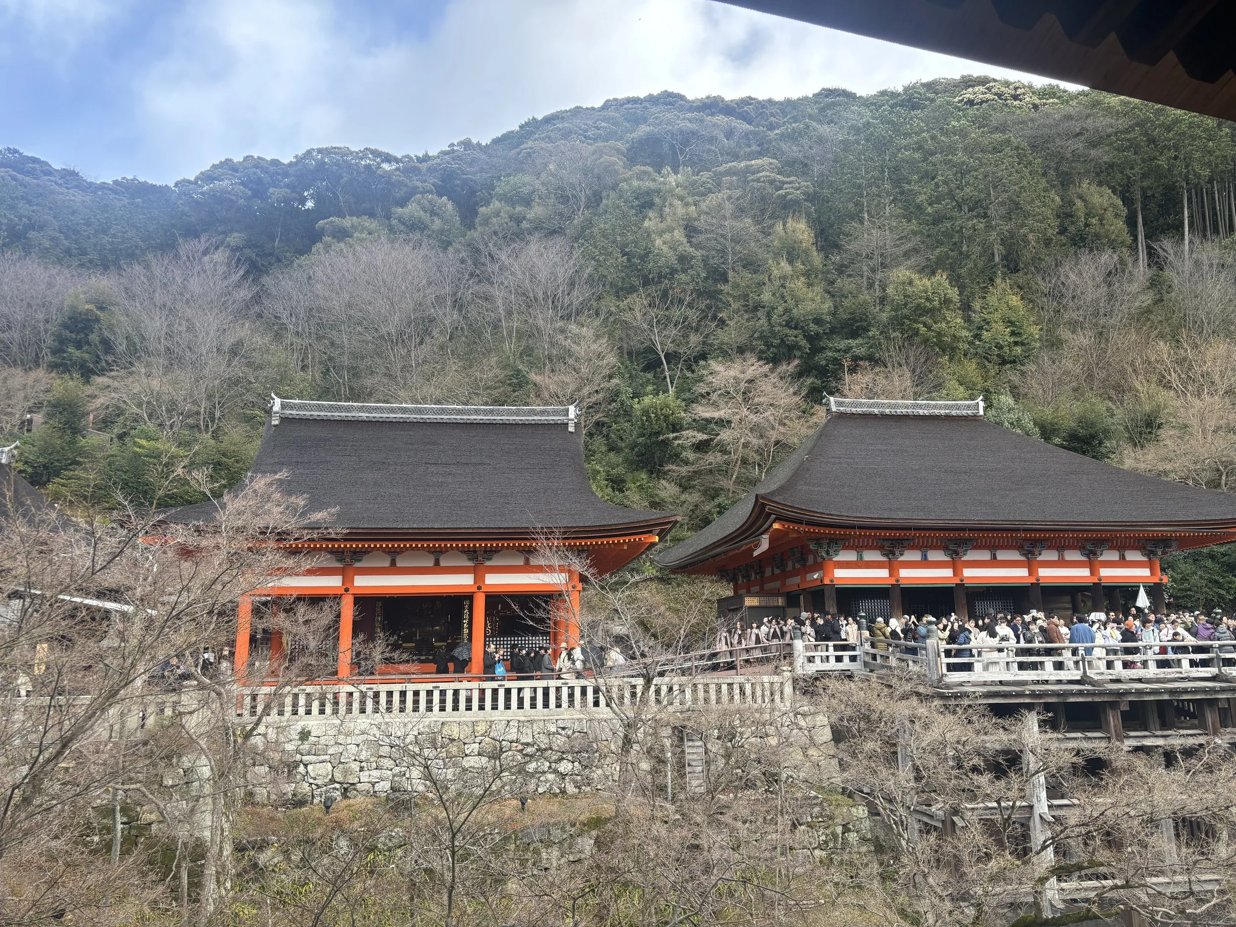 View at Kyoto Temple.jpeg