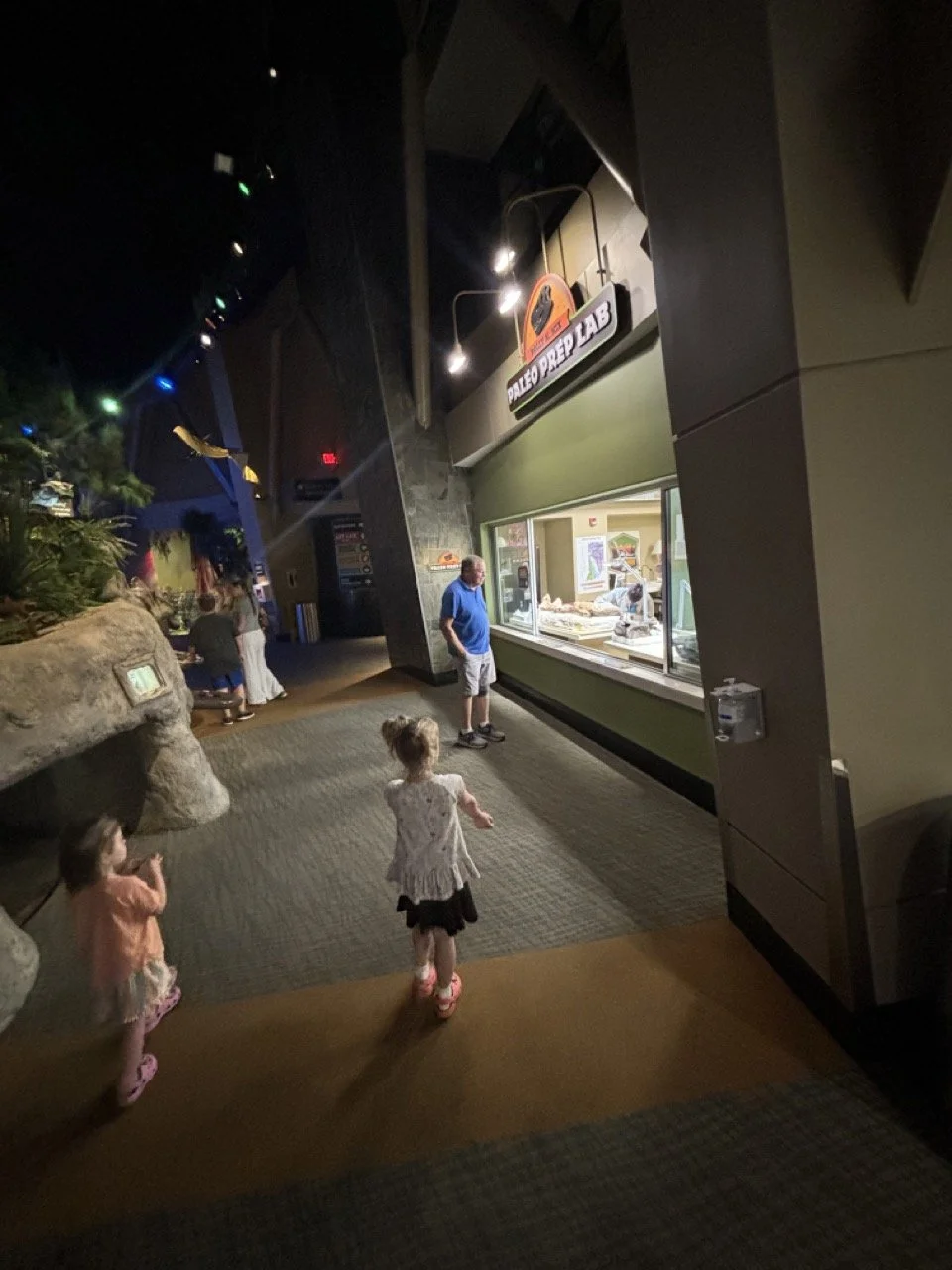 Indianpolis Chidlren_s Museum Palentologist walk up window science dinosaurs.jpeg