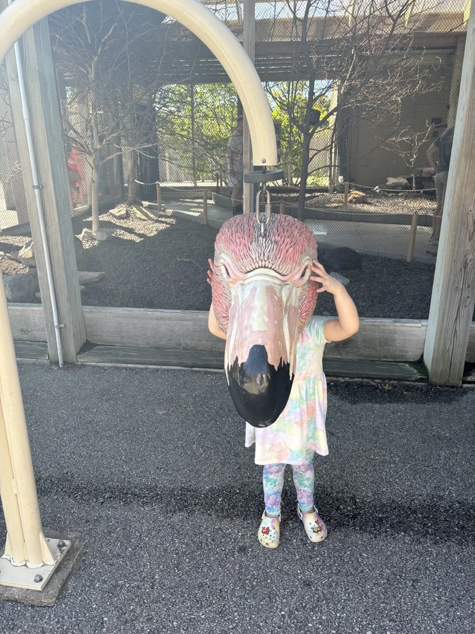 Indianapolis Zoo-Bird Masks.jpeg