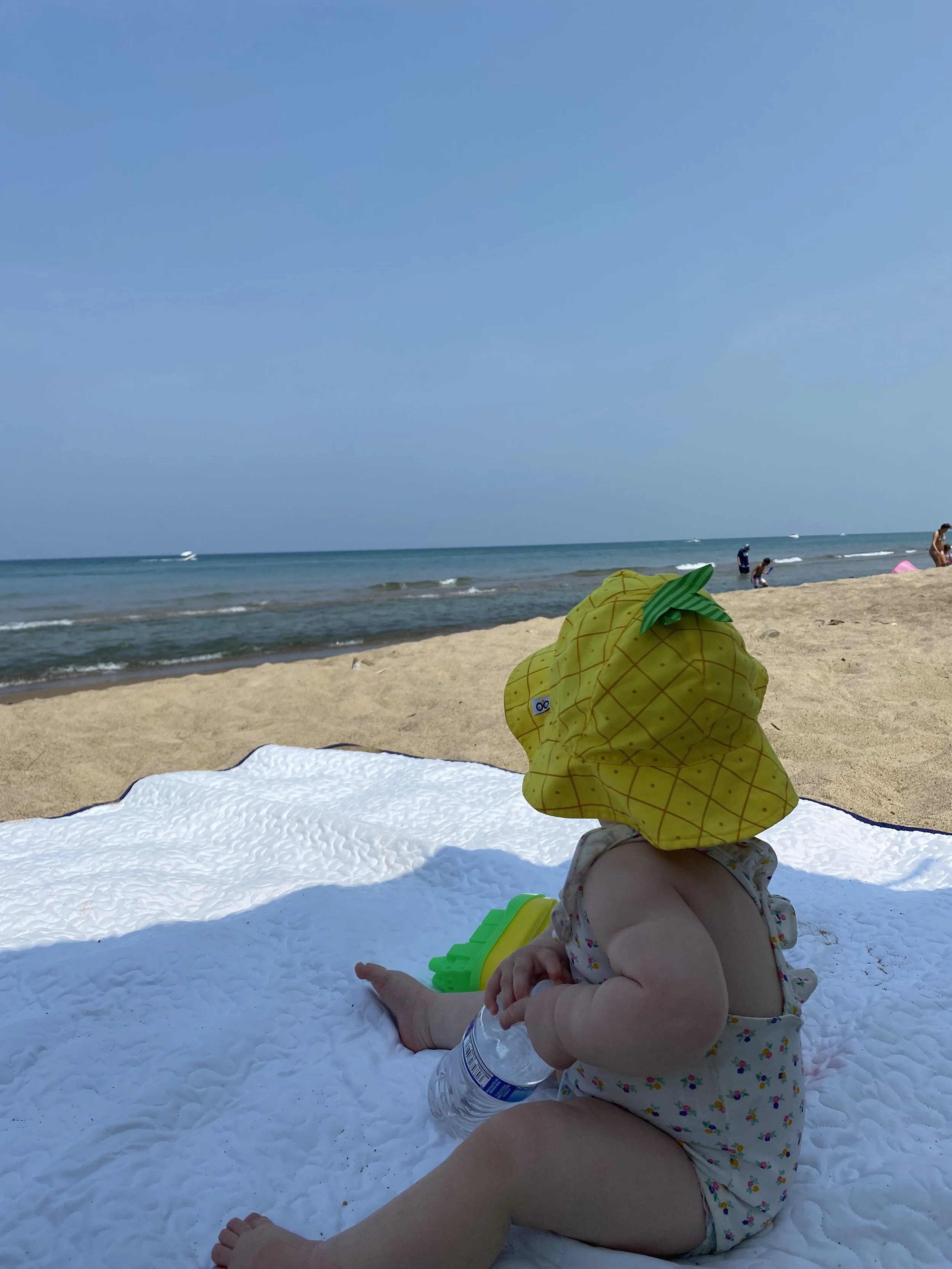 Lake Michigan New Buffalo Michigan