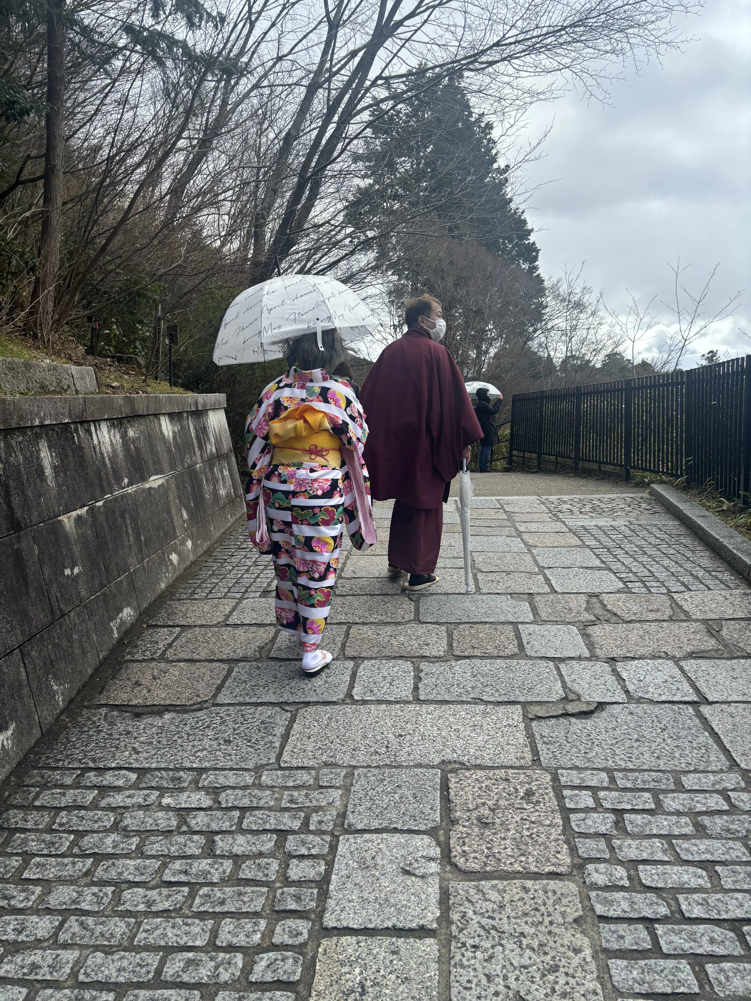 Tourists as Geisha.jpeg