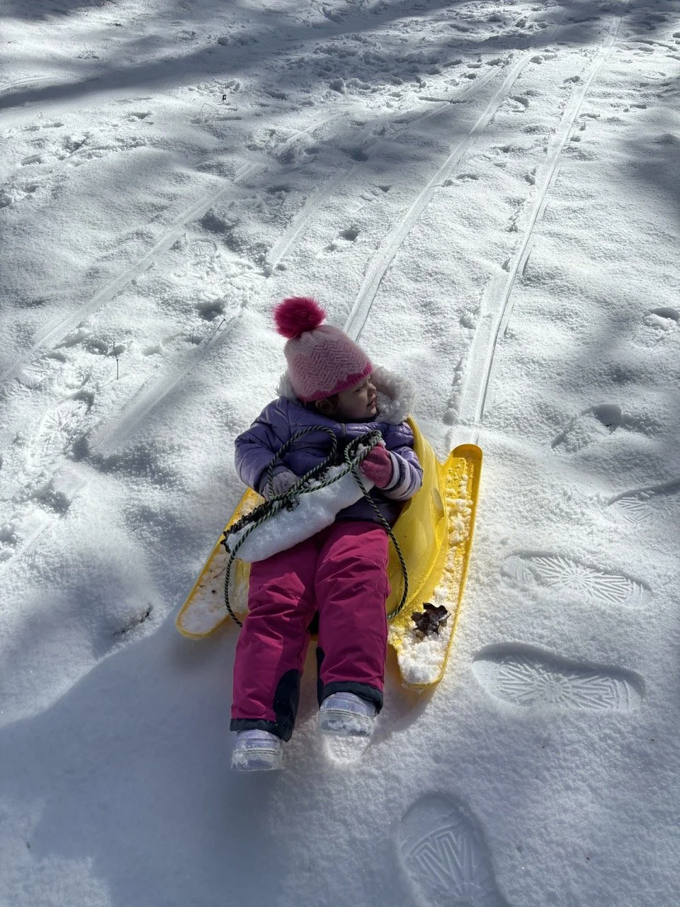 Yosemite Snow Play.jpeg