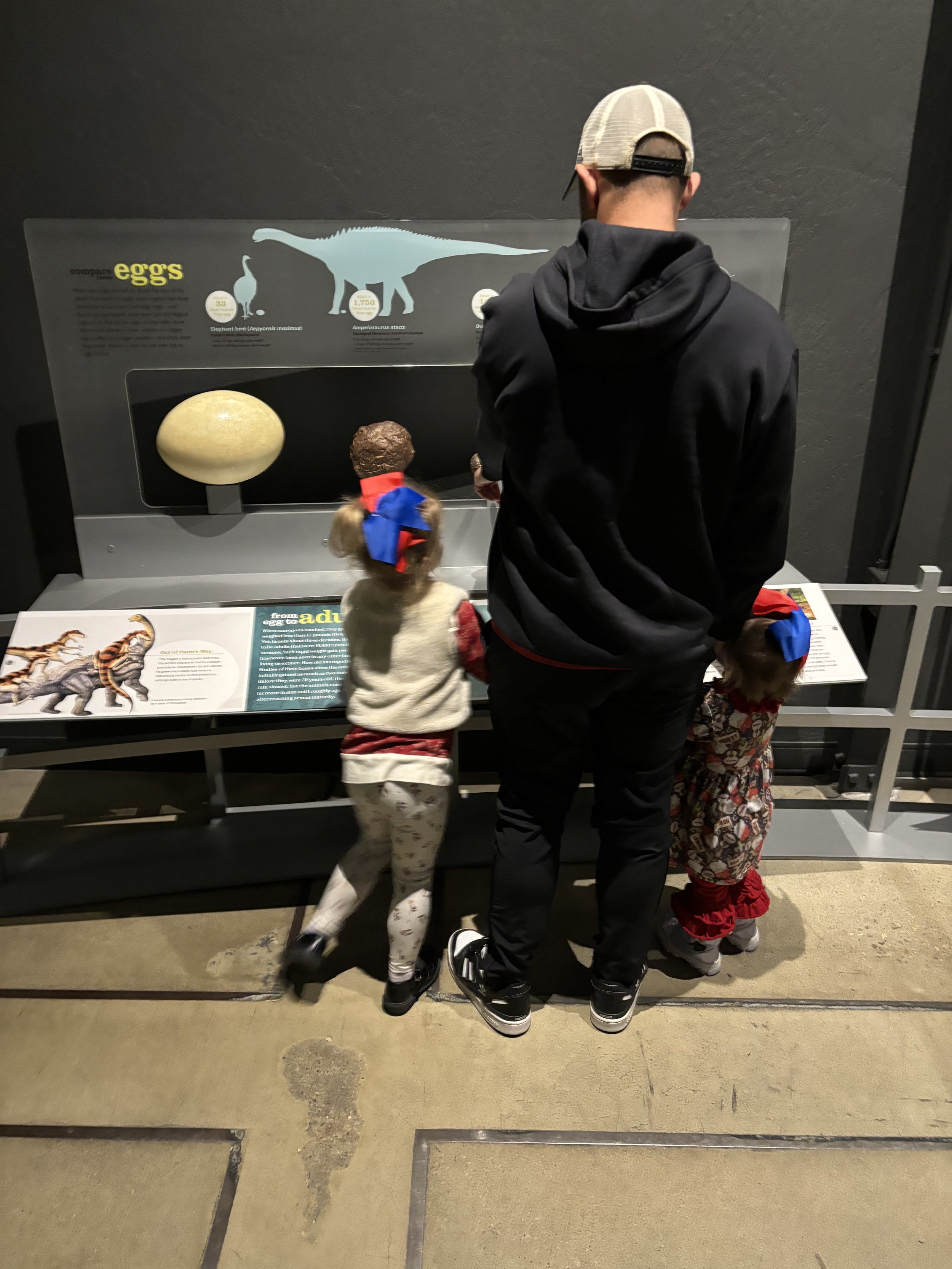 Boise Children_s Museum Dino Exhibit.jpeg