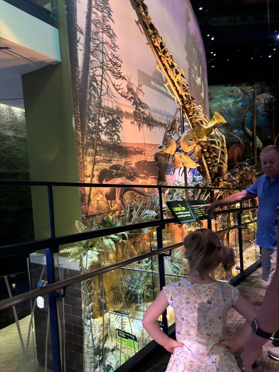 Indianapolis Children_s Museum Dinosaurs.jpeg