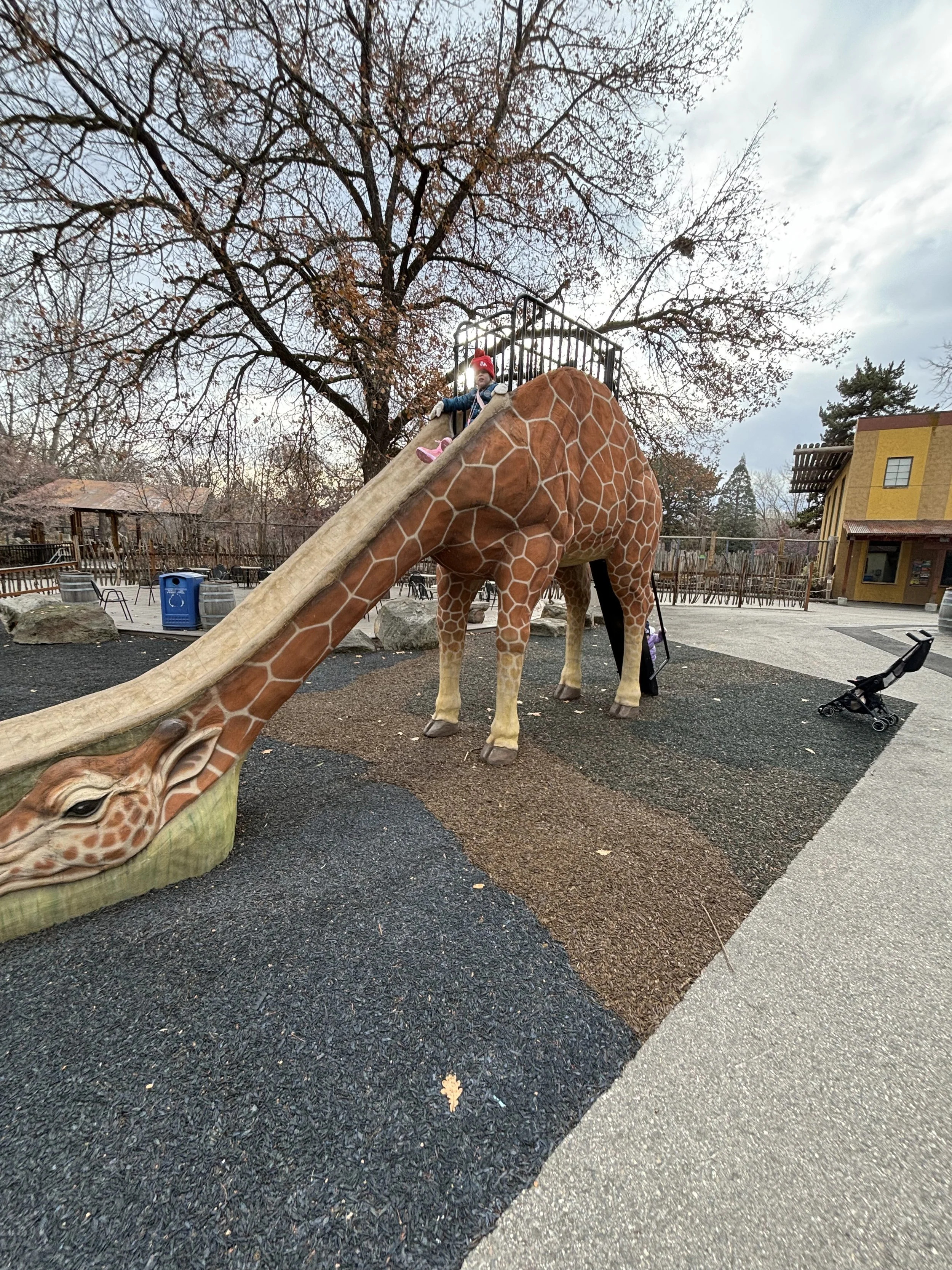 Zoo Boise Giraffe Slide.jpeg