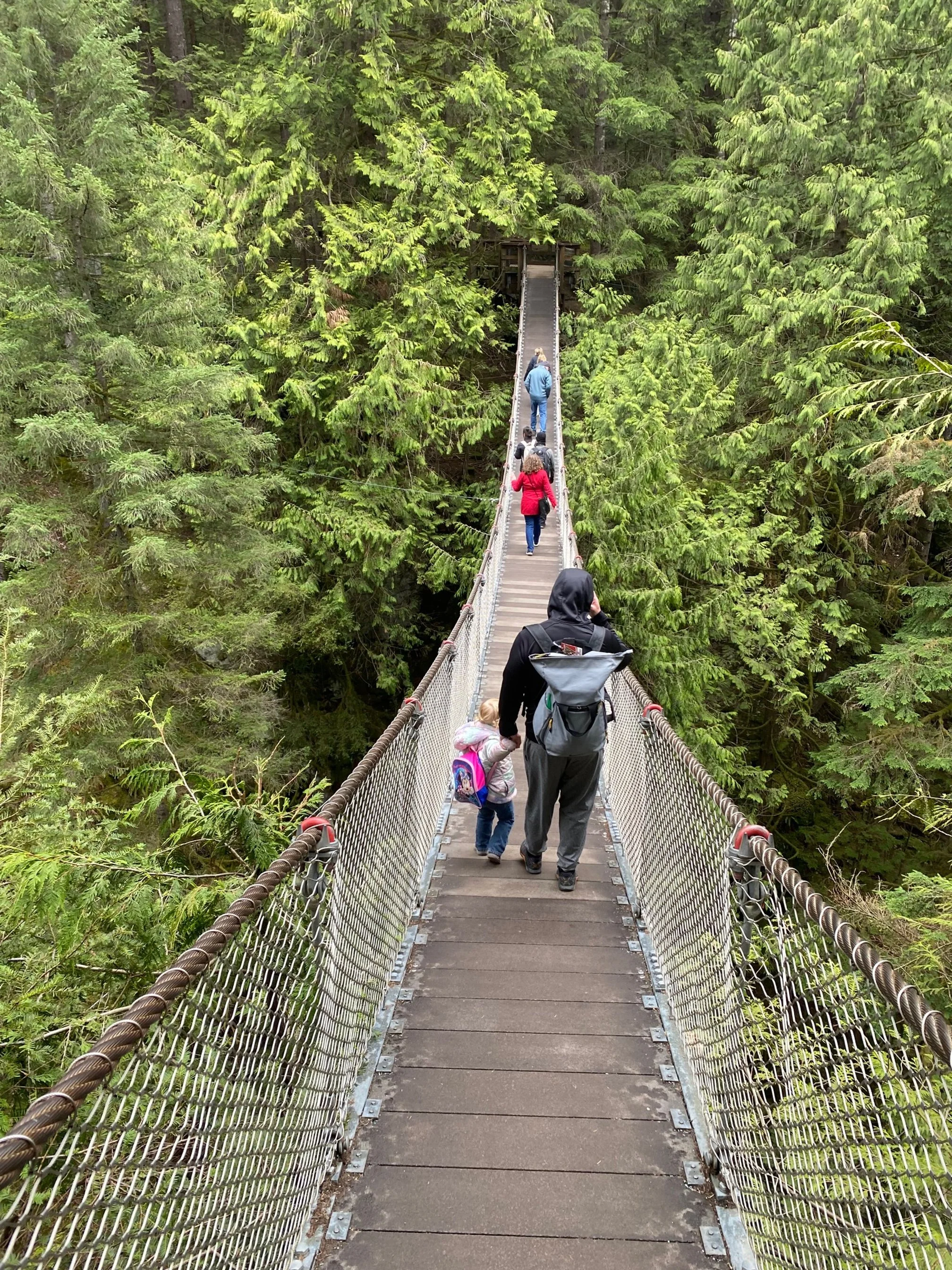 Vancouver-Suspension Bridge-Hike with Kids-Nature.jpg