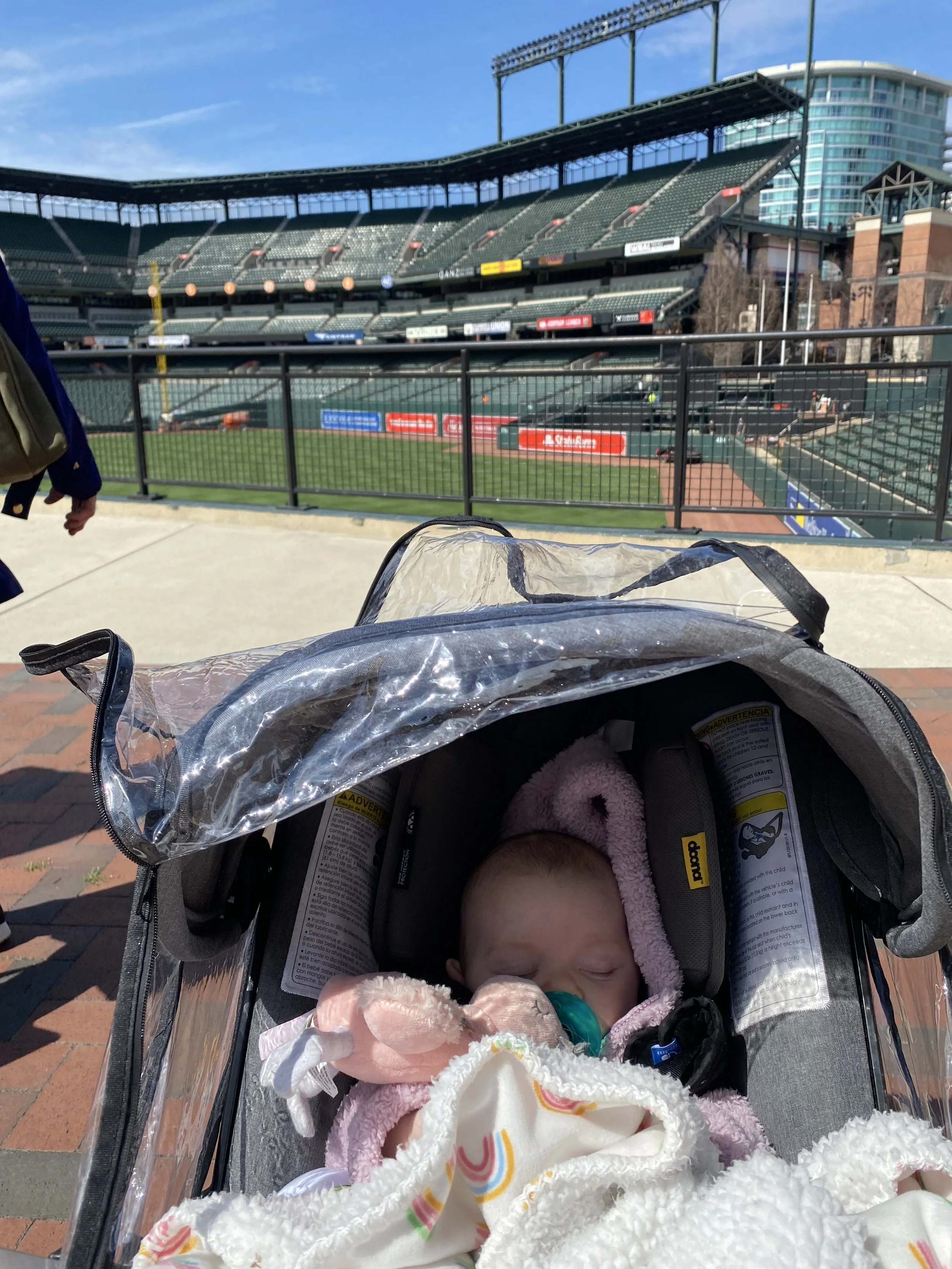 Maryland-Baltimore Orioles-Camden Yards-Doona-Baby.jpeg