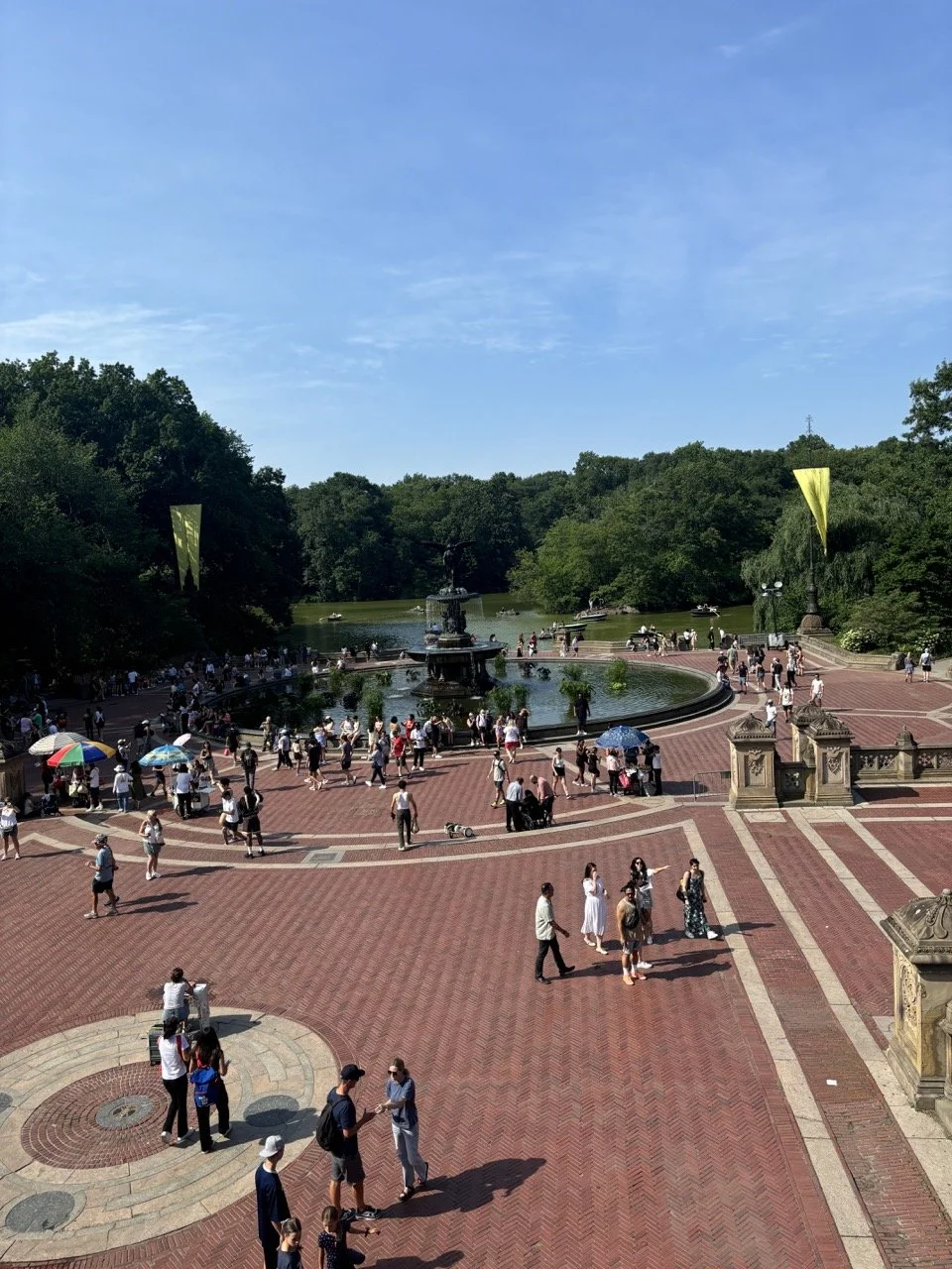 Central Park New York City NY Steps Lagoon.jpeg